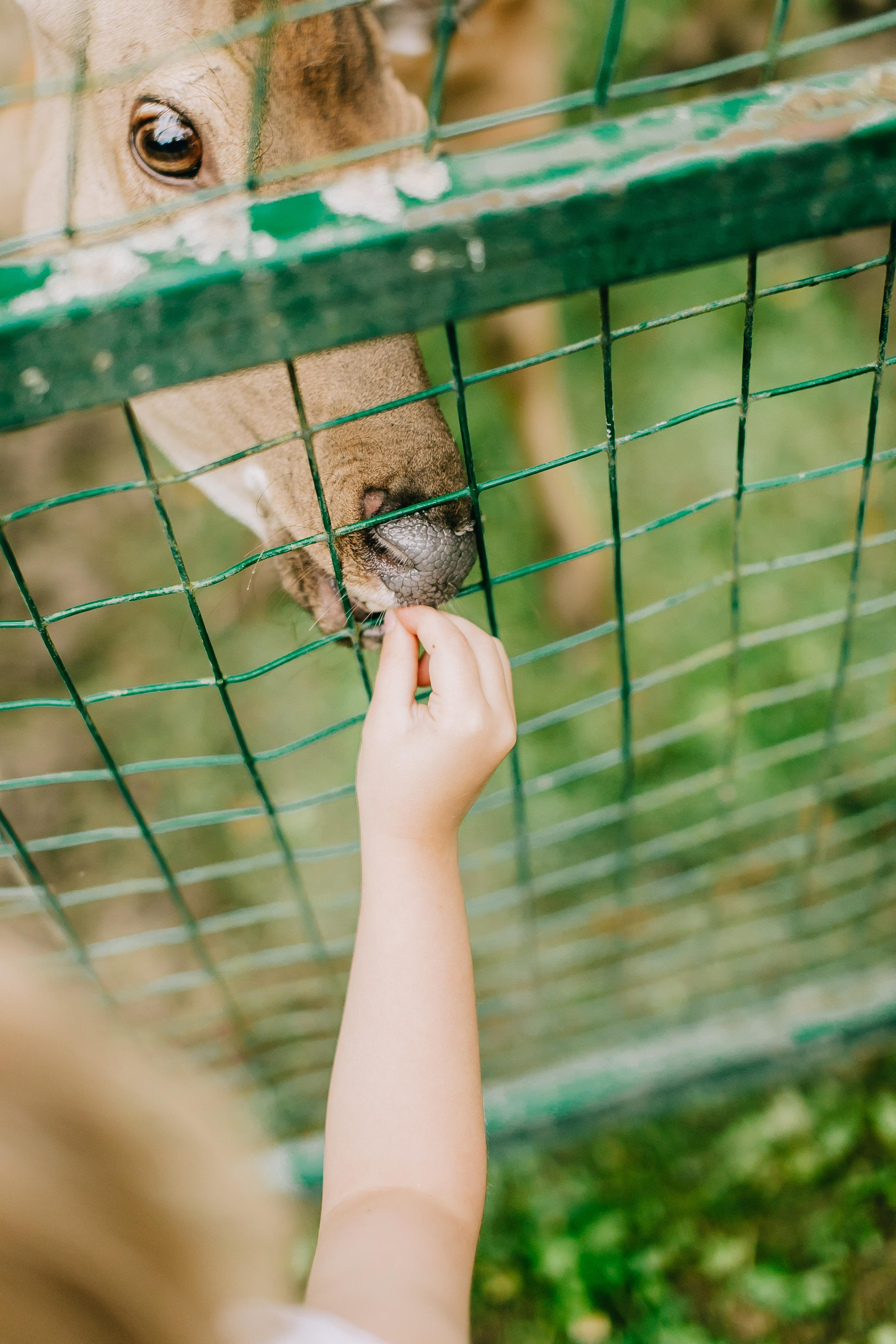 Family. Alya Leto Photographer