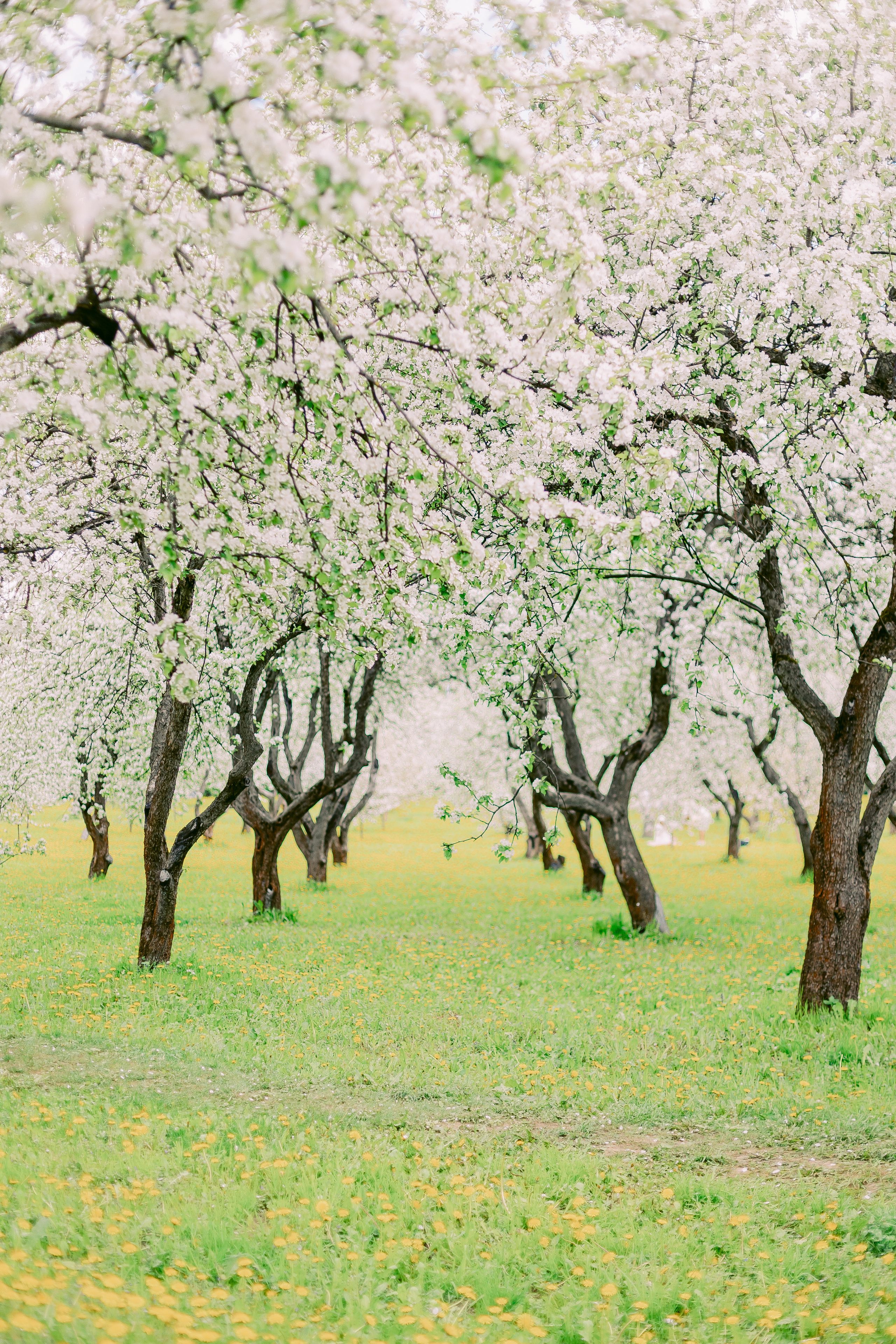 Ксюша и Мар. Alya Leto Photographer