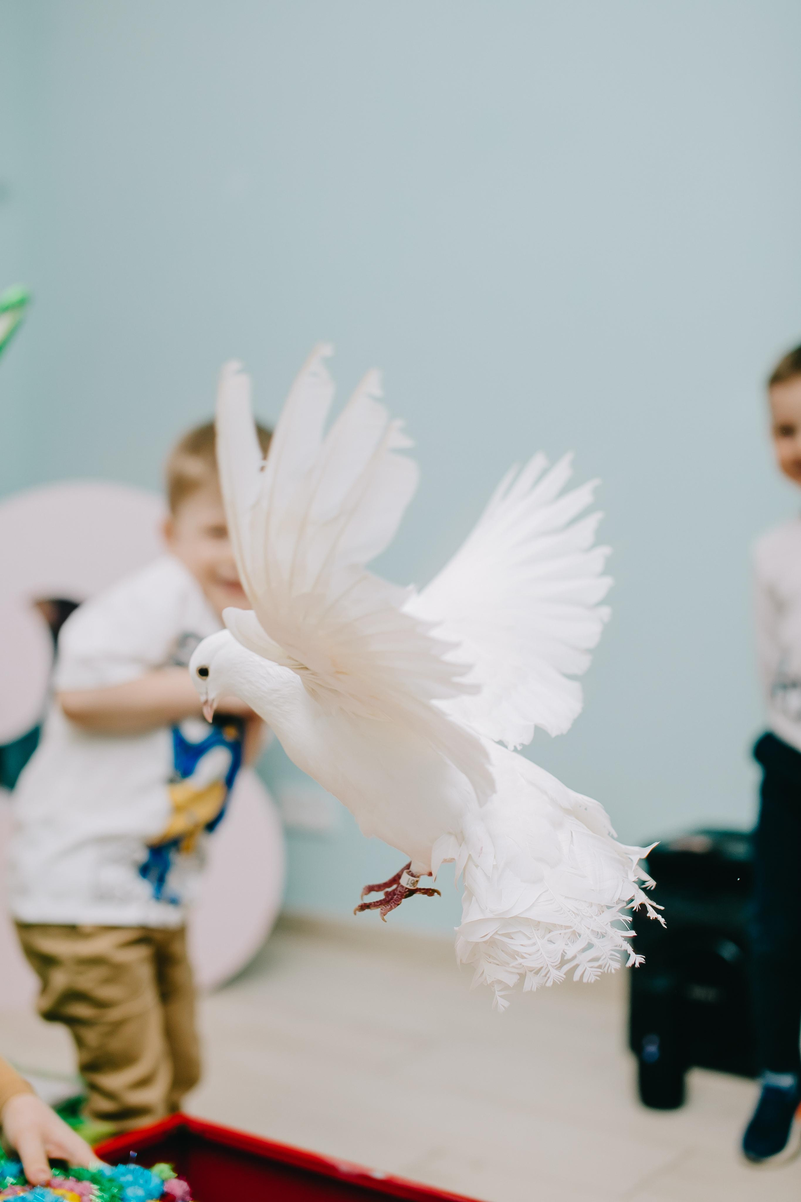 Kids Party. Alya Leto Photographer