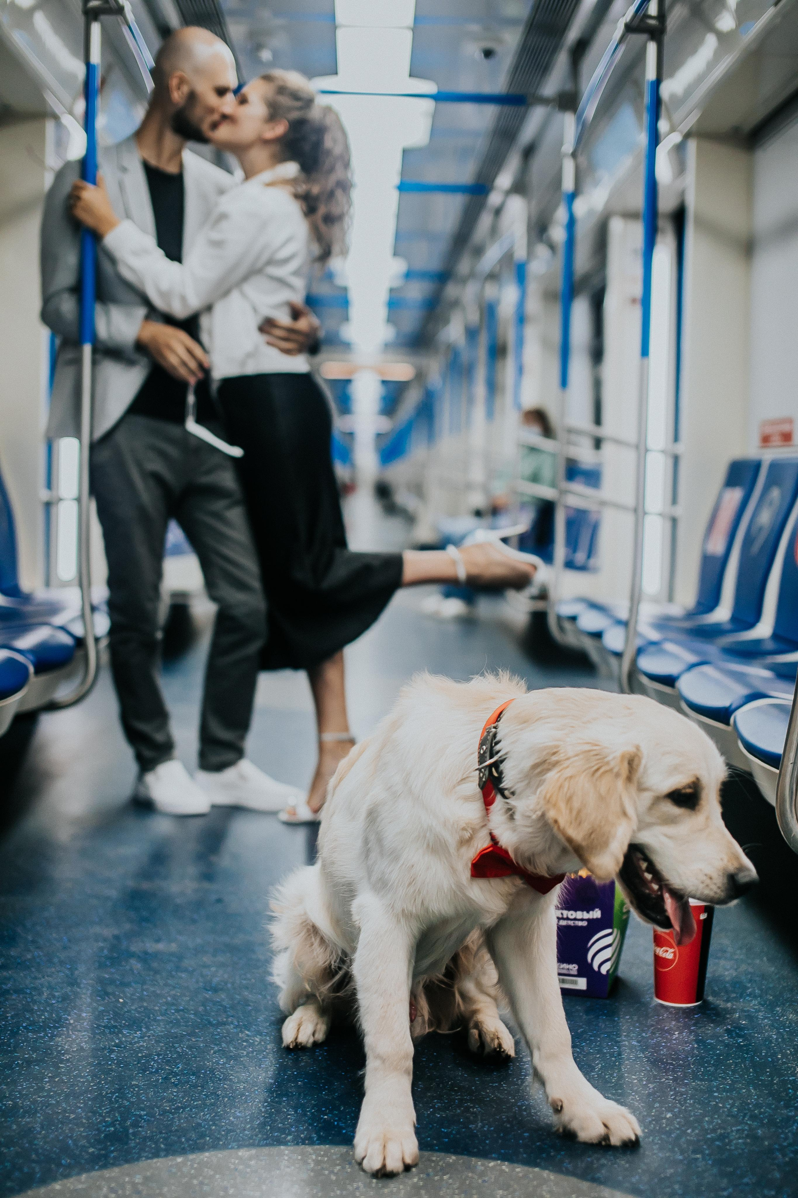 Love. Alya Leto Photographer