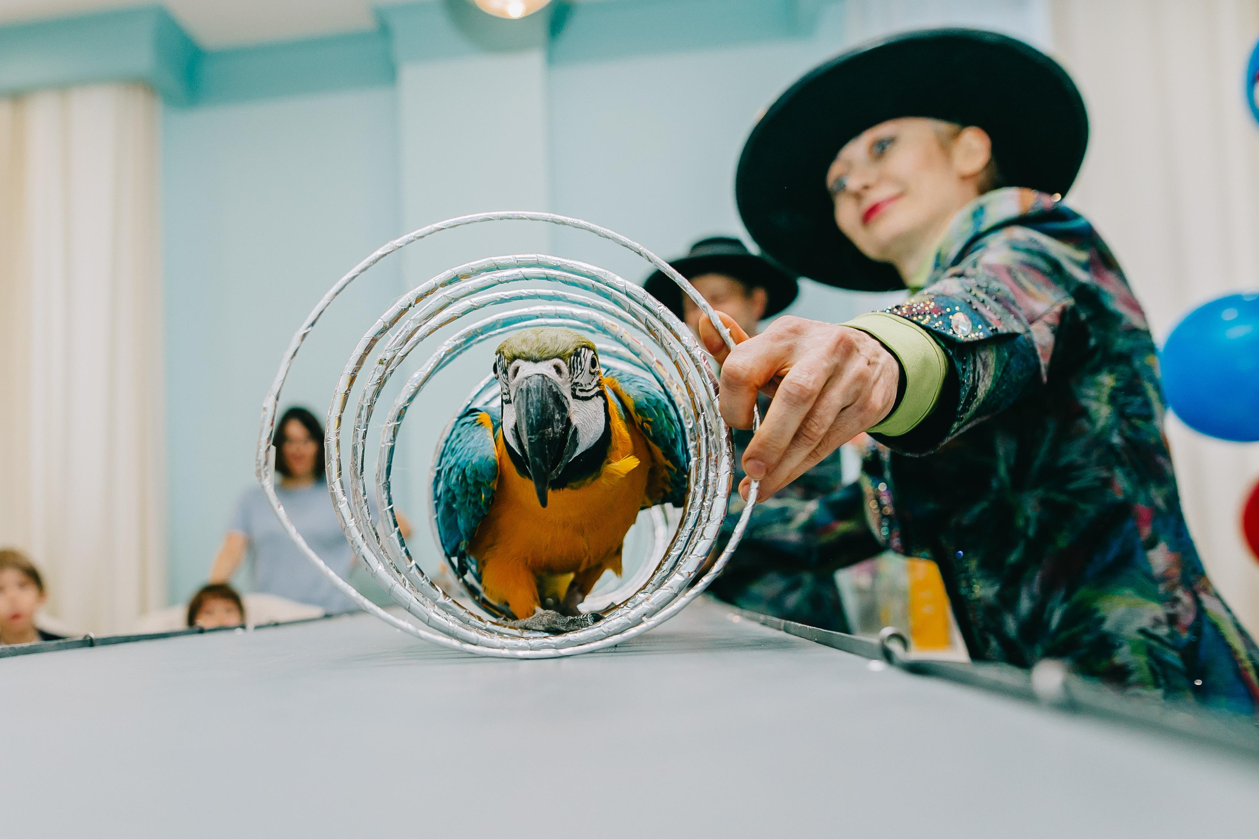 Kids Party. Alya Leto Photographer