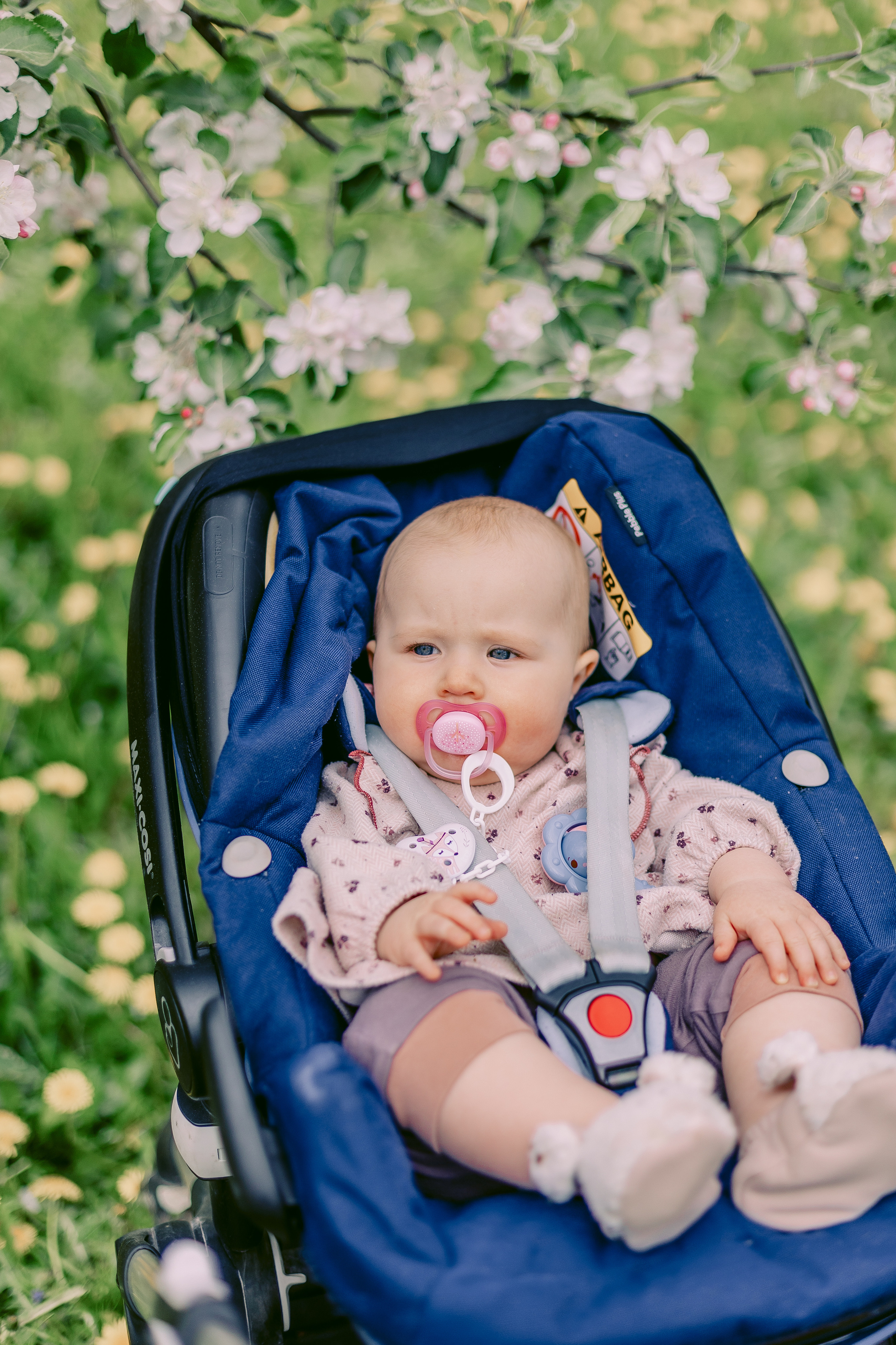 Иришка с игрушкой. Alya Leto Photographer