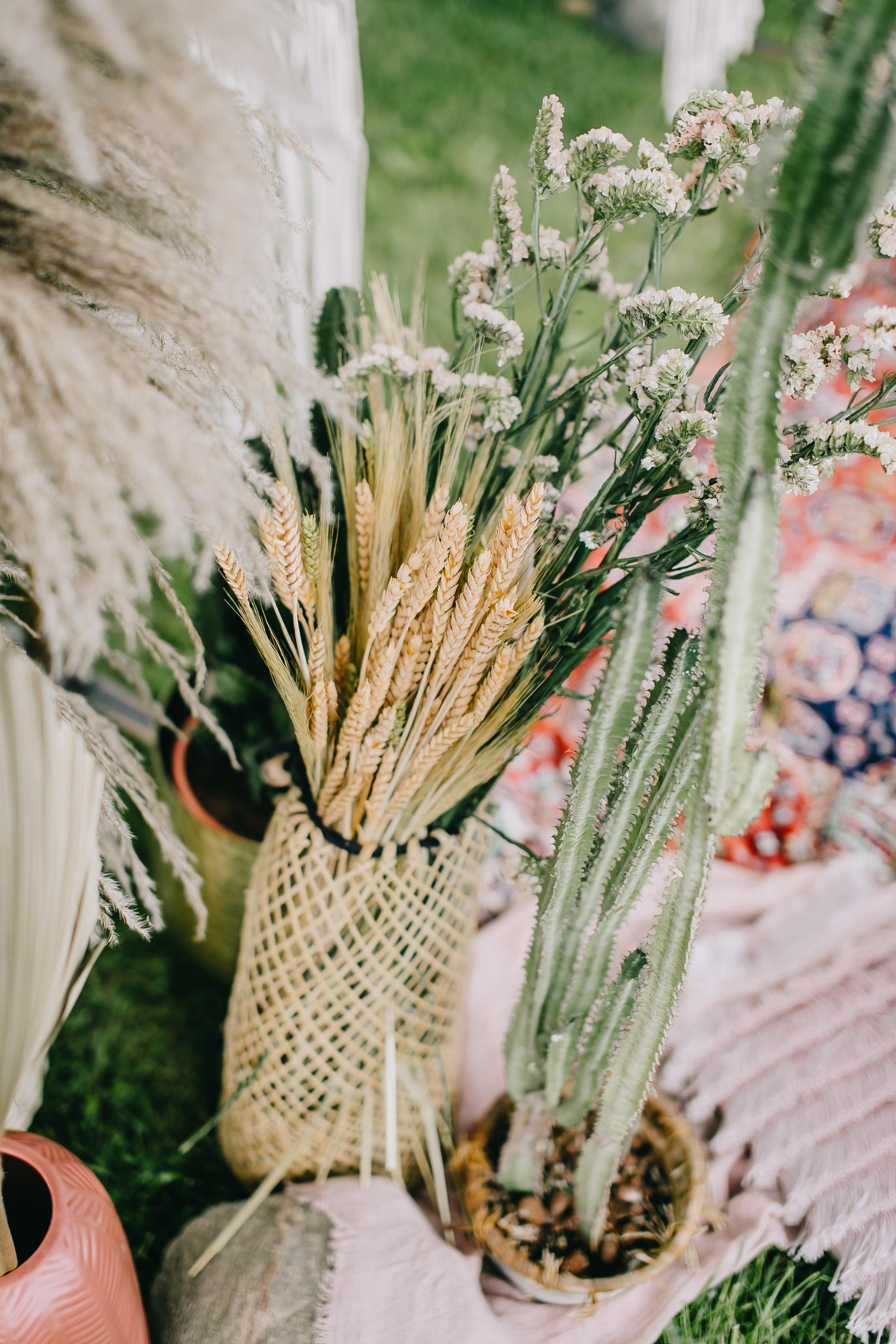 Family. Alya Leto Photographer