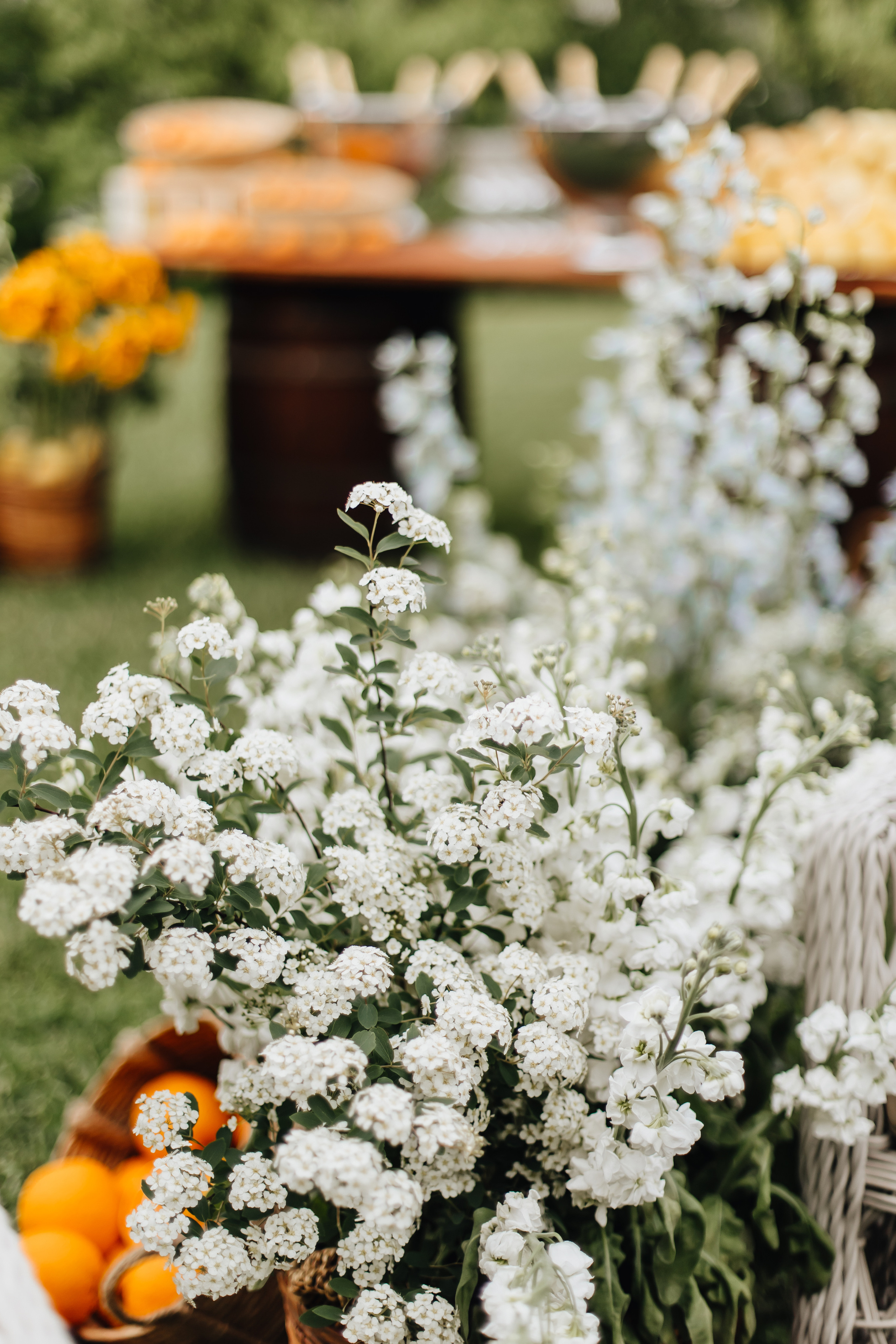 DOLCE VITA. Андрею 50. Ивановы The BEST. Alya Leto Photographer