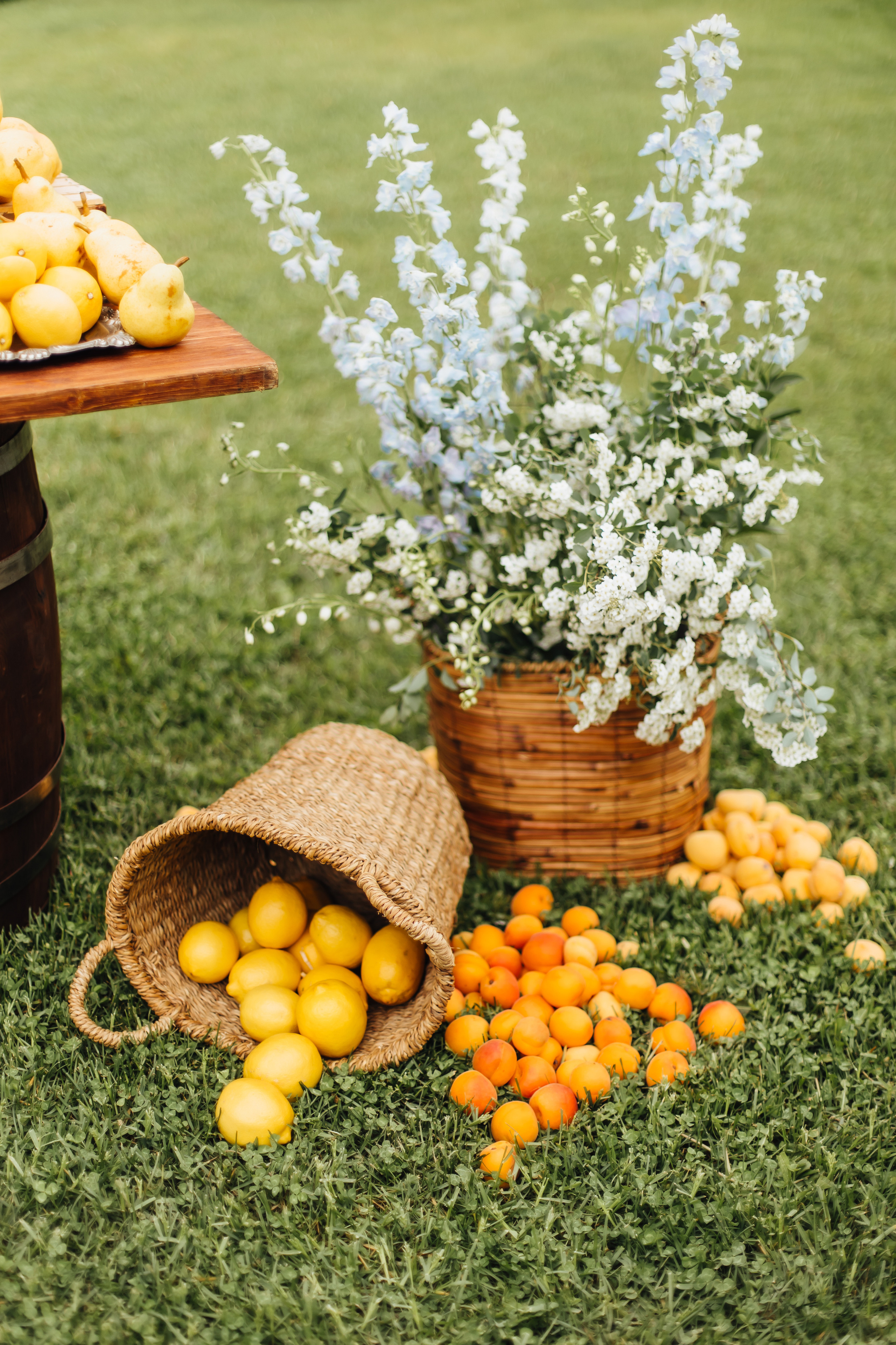 DOLCE VITA. Андрею 50. Ивановы The BEST. Alya Leto Photographer