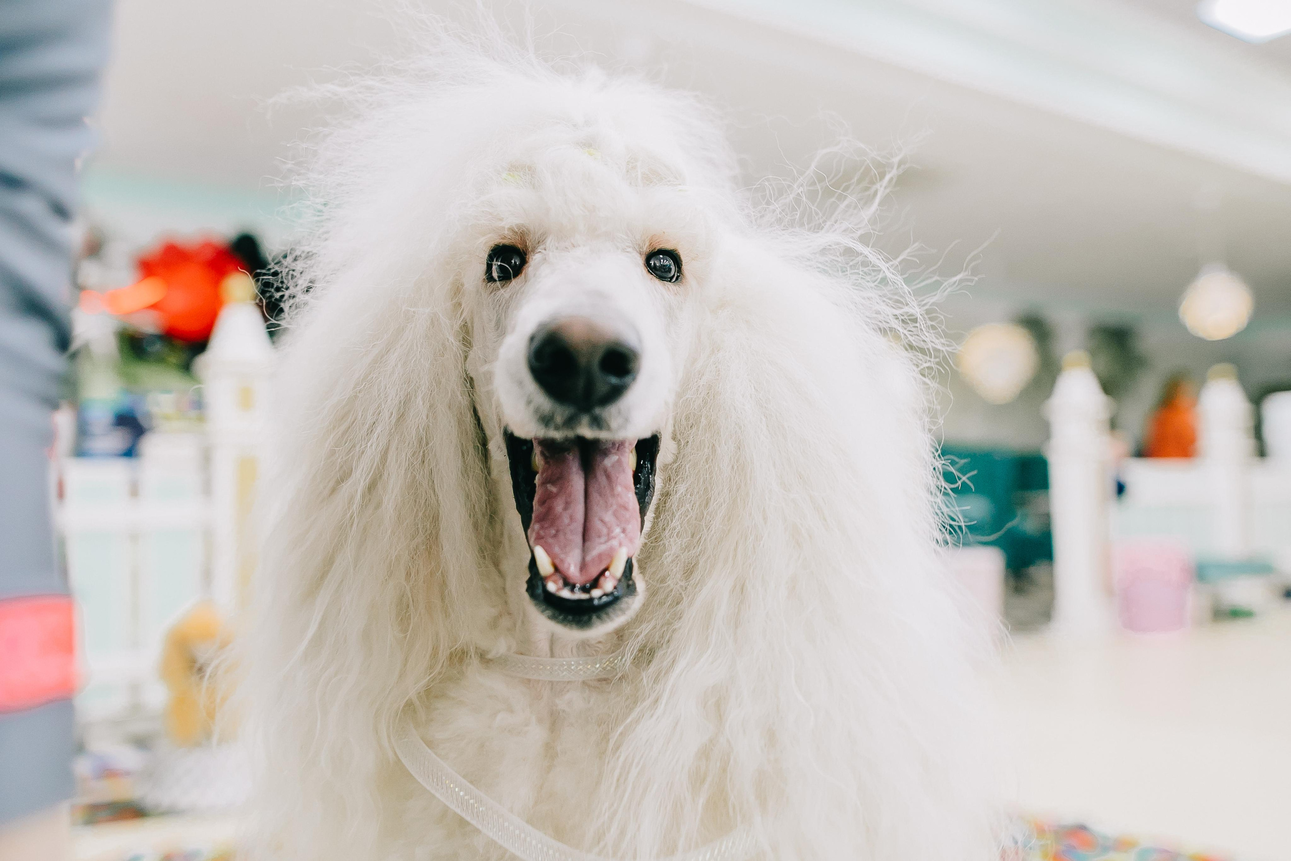 Kids Party. Alya Leto Photographer