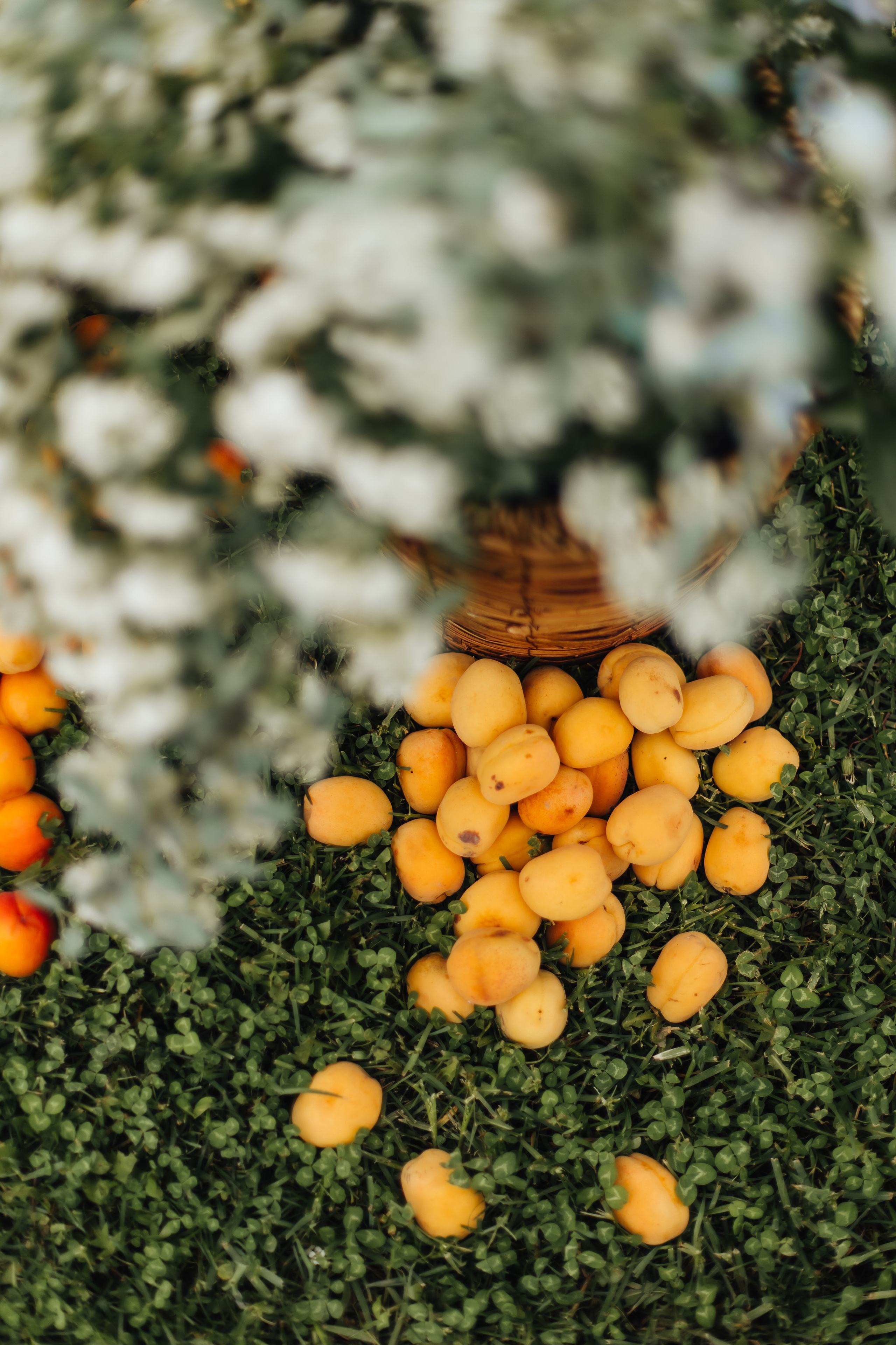 DOLCE VITA. Андрею 50. Ивановы The BEST. Alya Leto Photographer