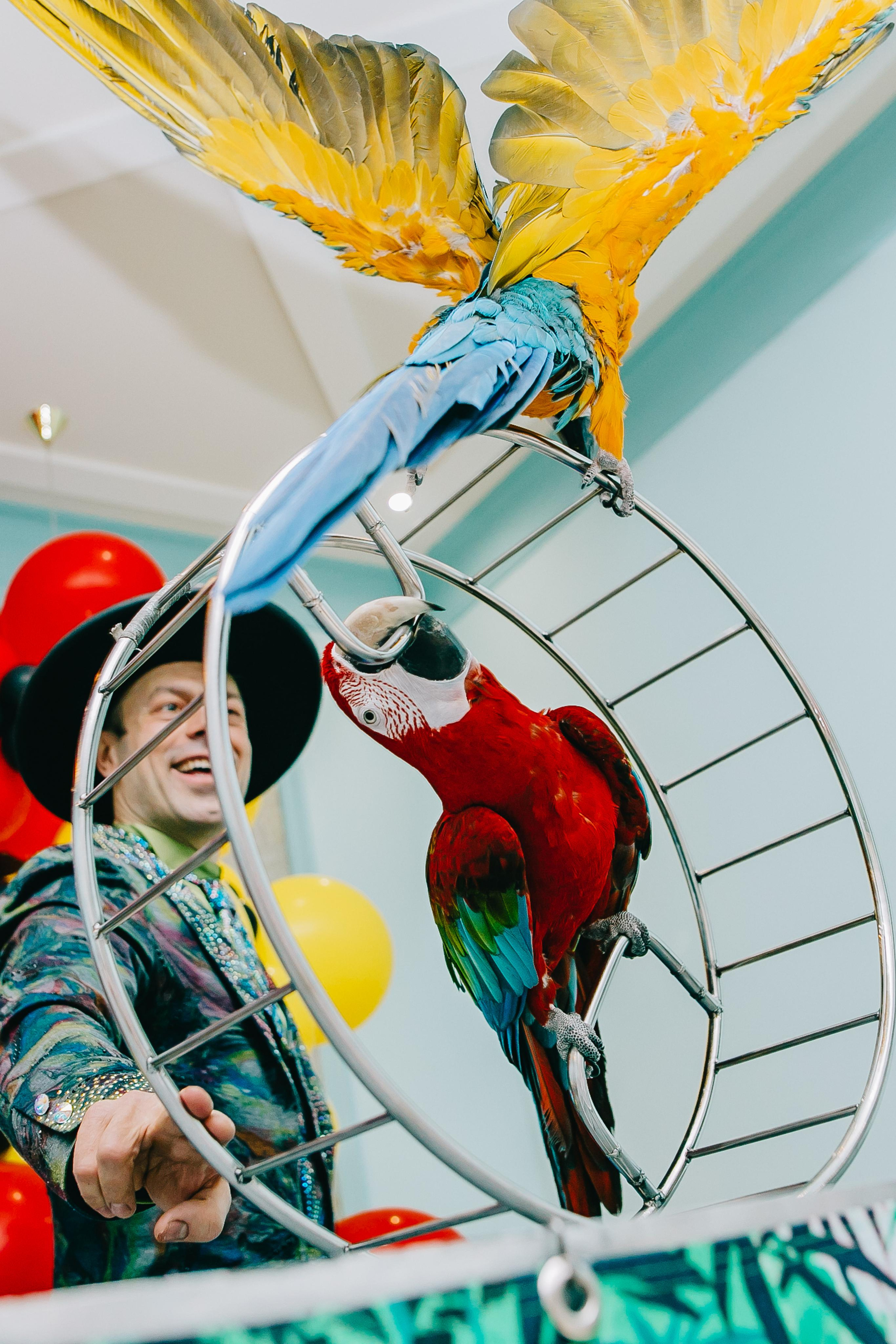 Kids Party. Alya Leto Photographer