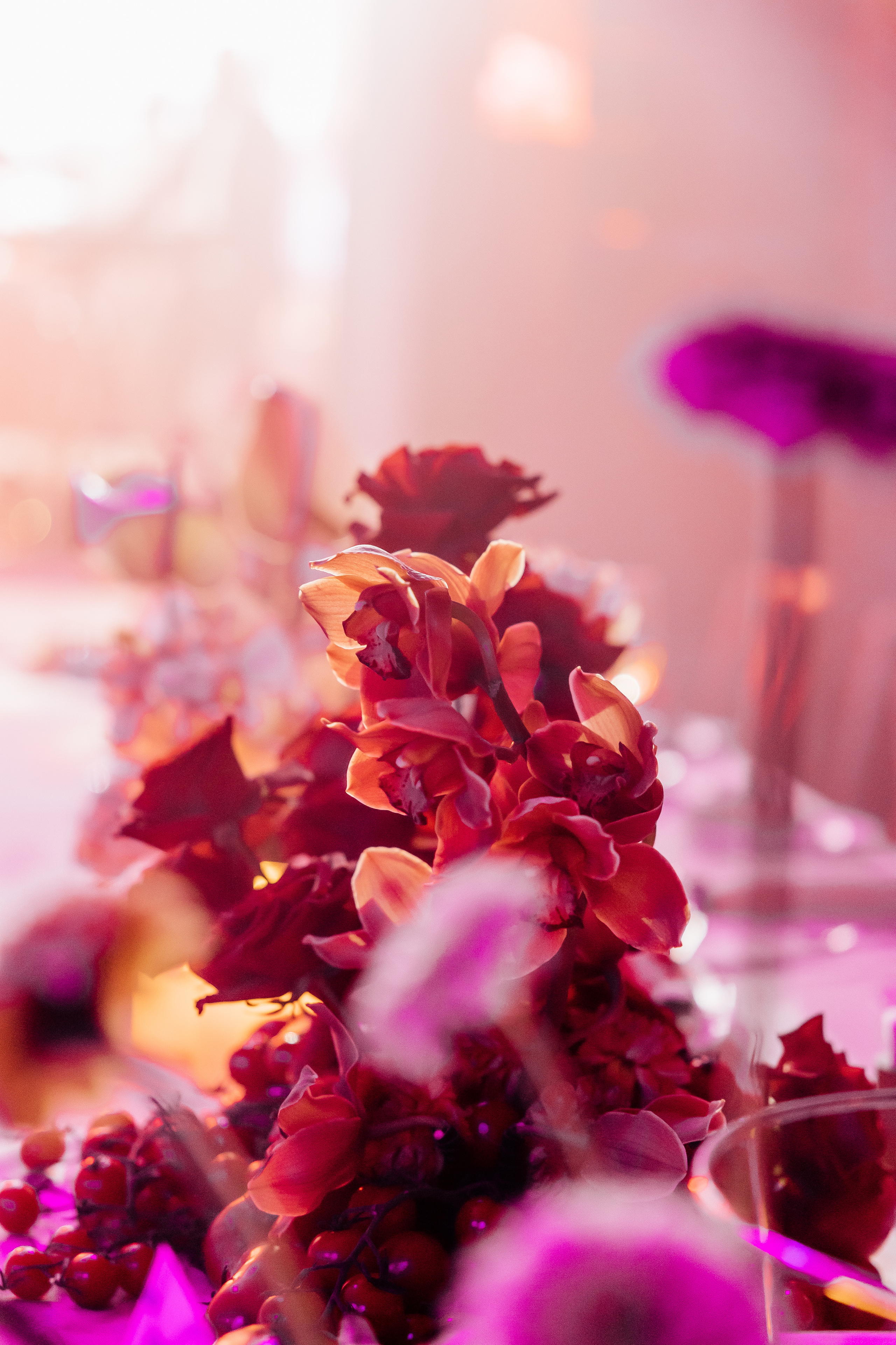 DOLCE VITA. Андрею 50. Ивановы The BEST. Alya Leto Photographer