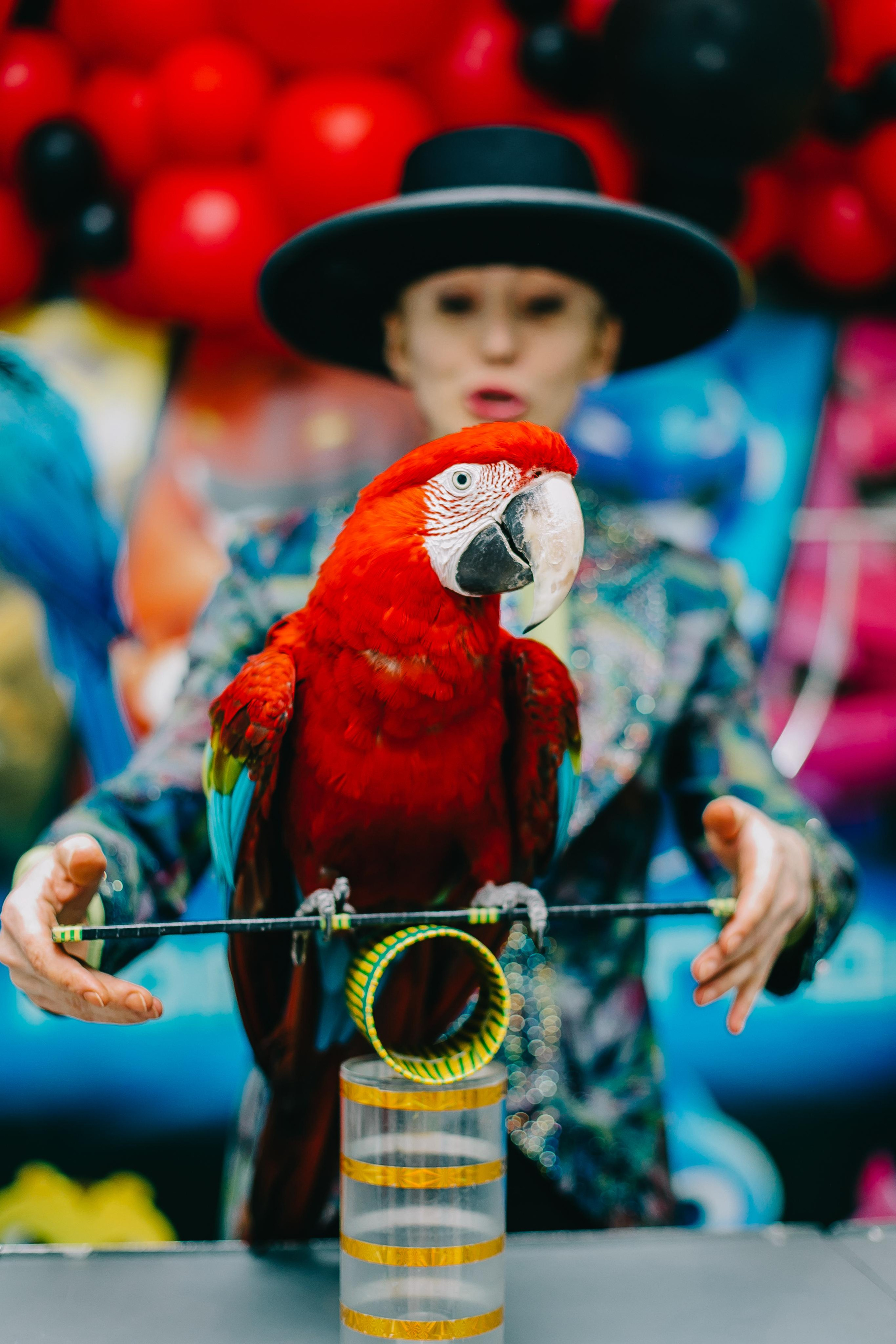 Kids Party. Alya Leto Photographer