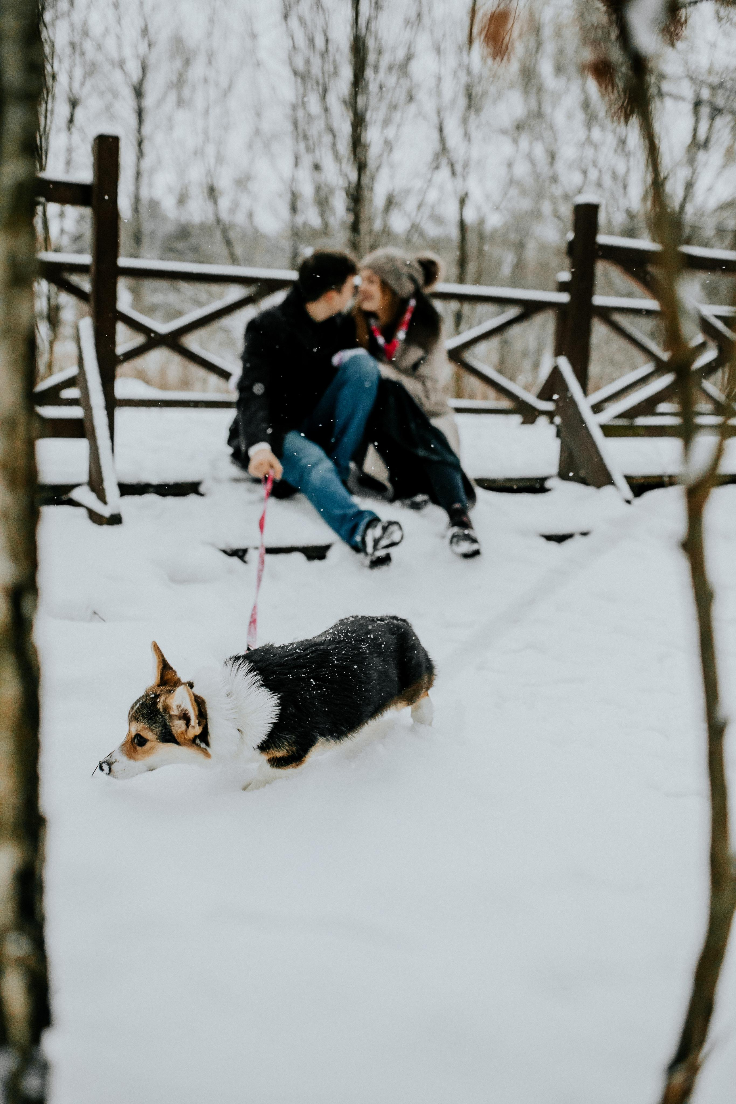 Love. Alya Leto Photographer