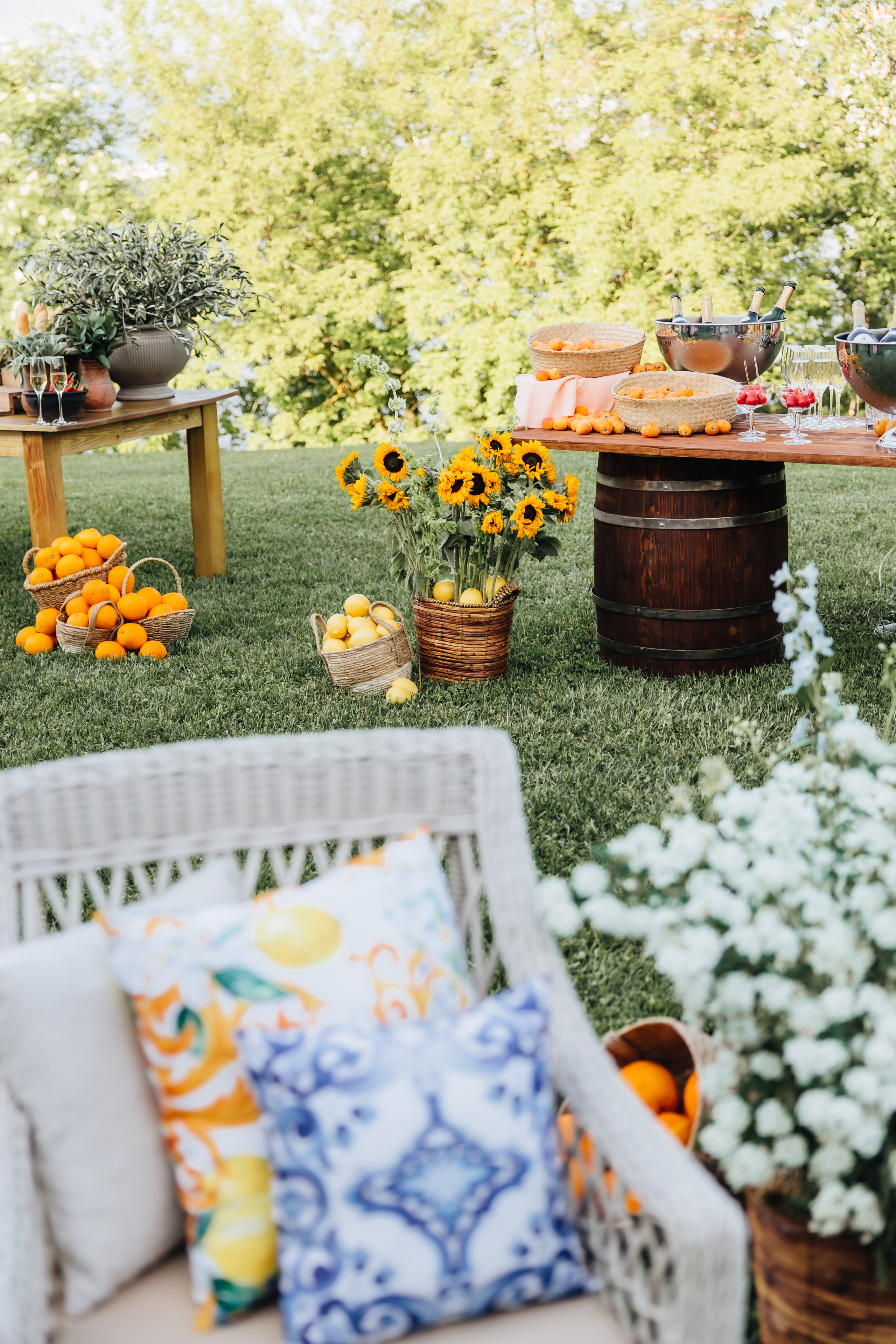 DOLCE VITA. Андрею 50. Ивановы The BEST. Alya Leto Photographer