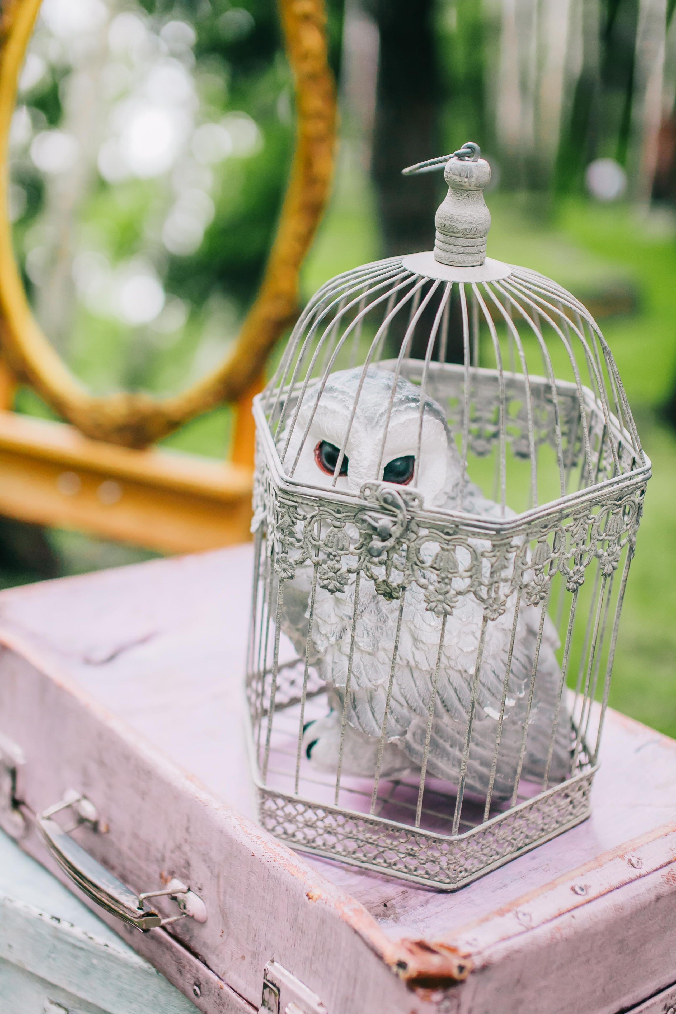 Kids Party. Alya Leto Photographer