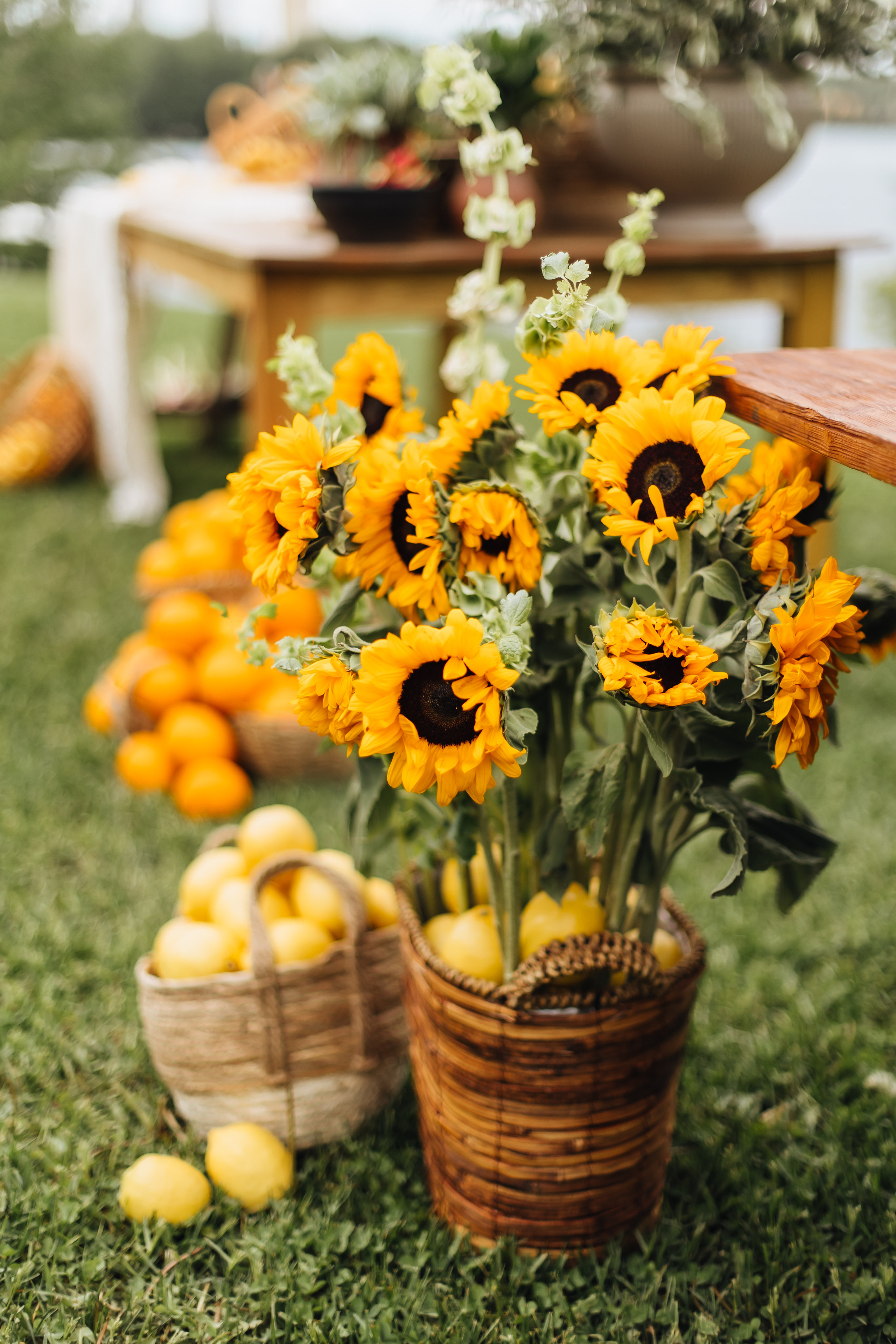 DOLCE VITA. Андрею 50. Ивановы The BEST. Alya Leto Photographer