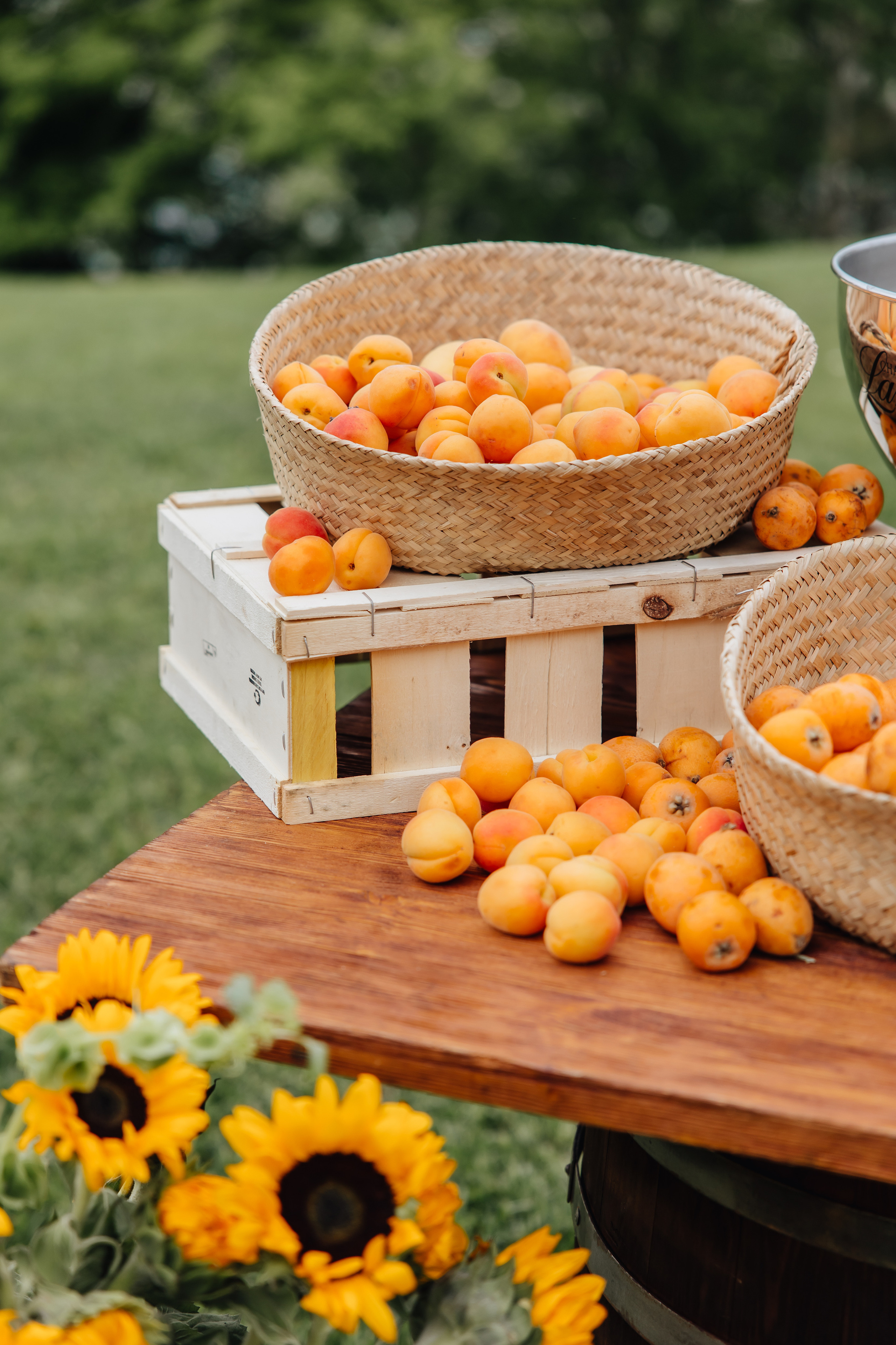 DOLCE VITA. Андрею 50. Ивановы The BEST. Alya Leto Photographer