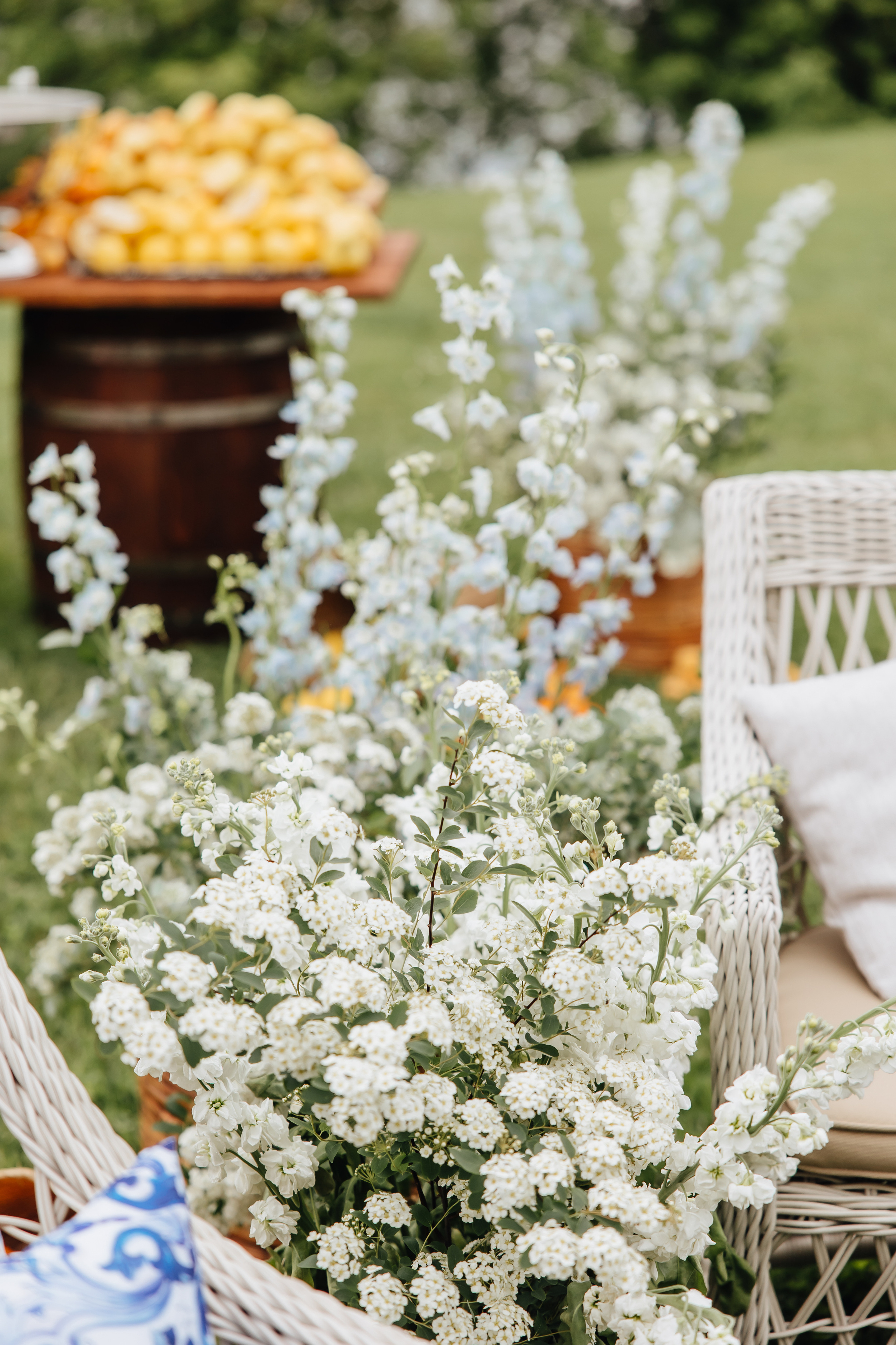 DOLCE VITA. Андрею 50. Ивановы The BEST. Alya Leto Photographer