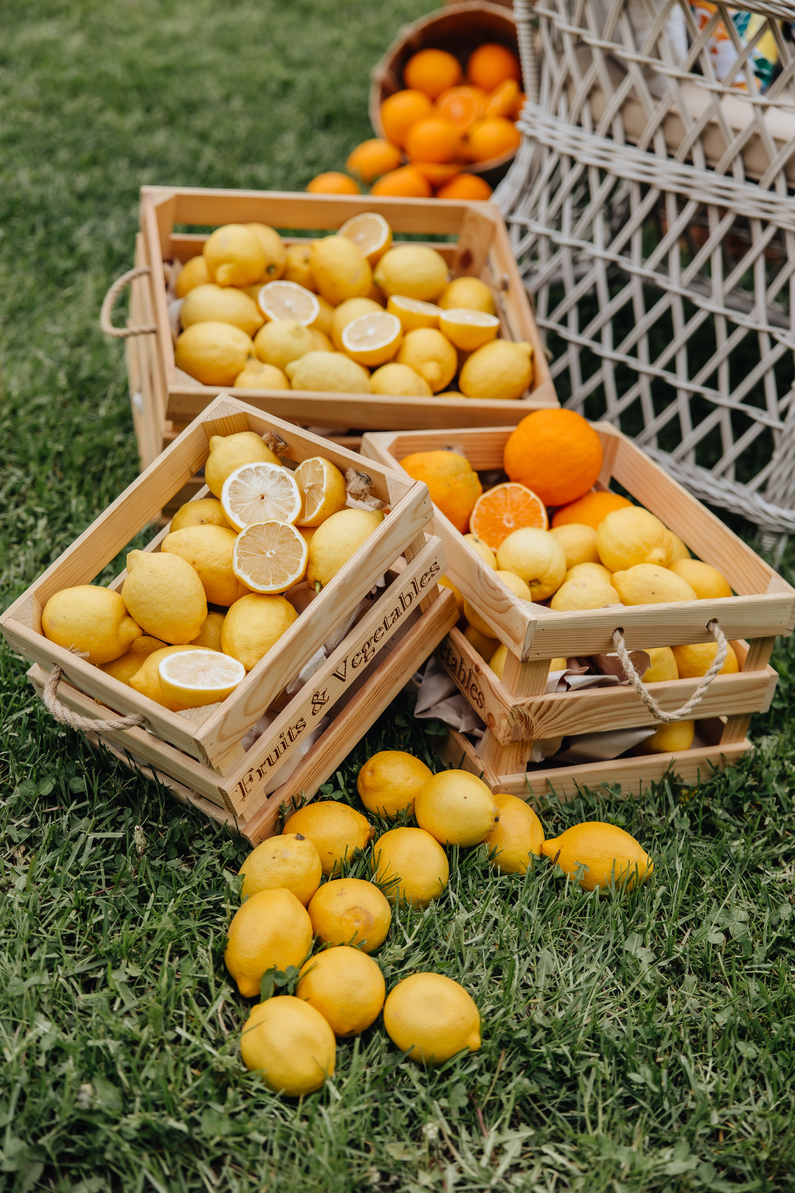 DOLCE VITA. Андрею 50. Ивановы The BEST. Alya Leto Photographer