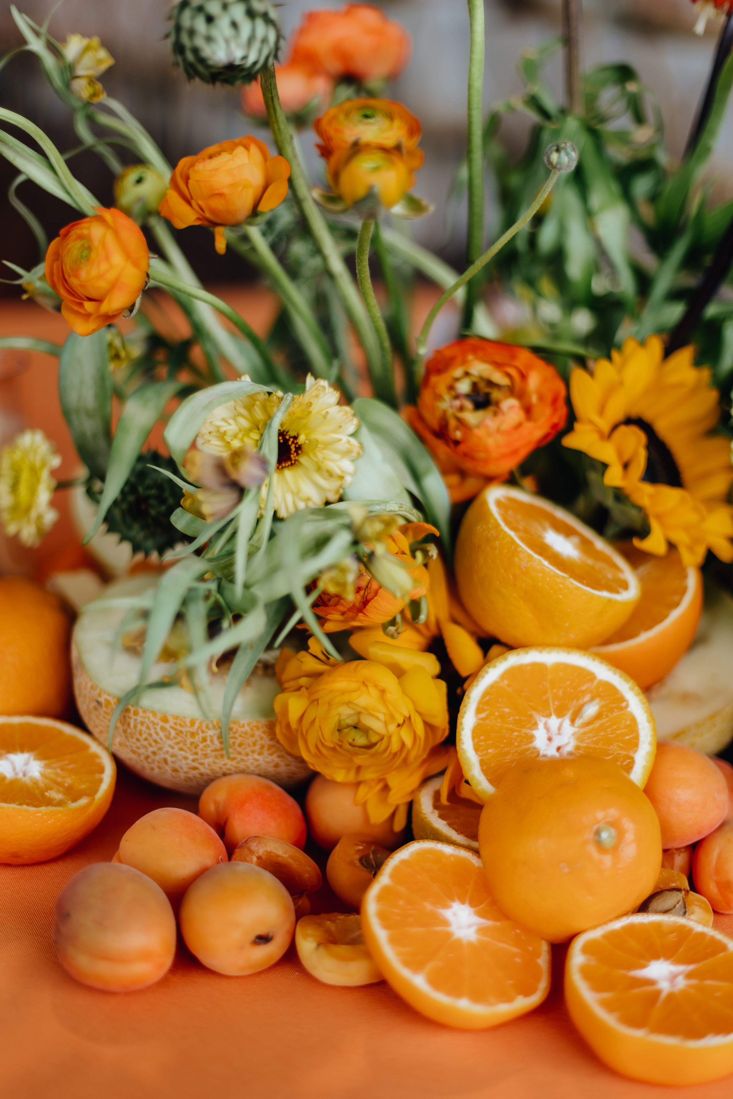 DOLCE VITA. Андрею 50. Ивановы The BEST. Alya Leto Photographer