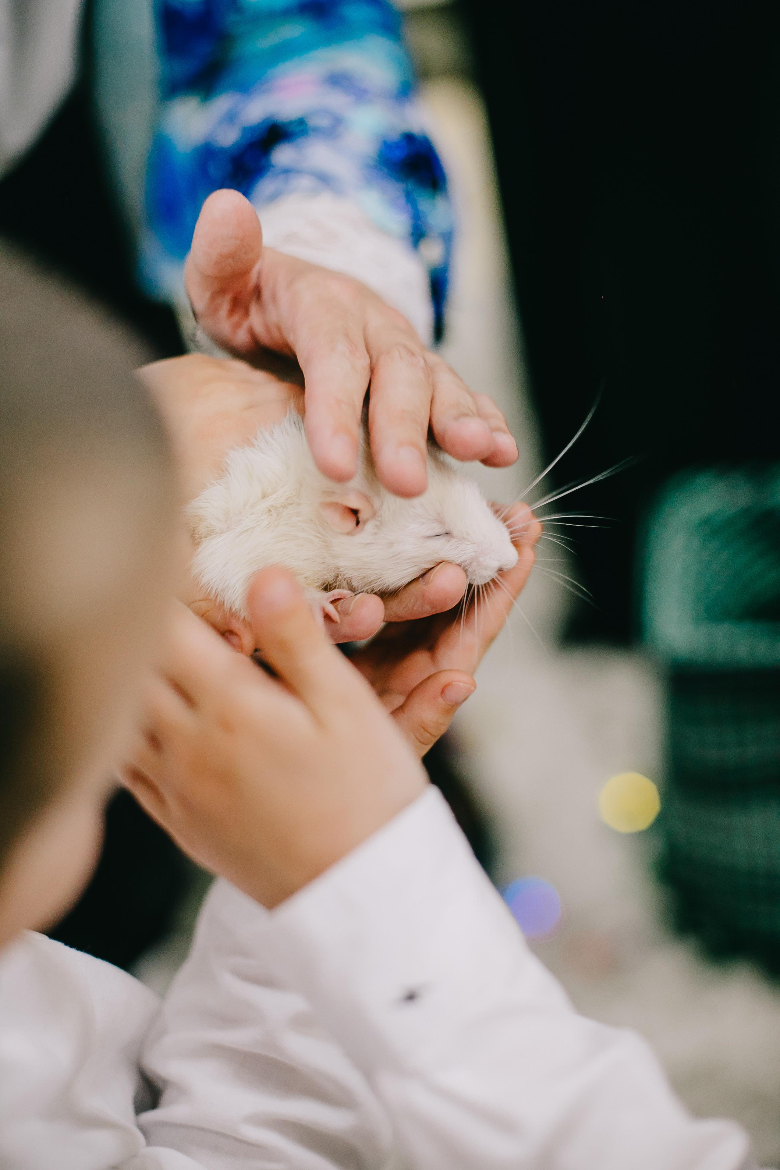 Kids Party. Alya Leto Photographer