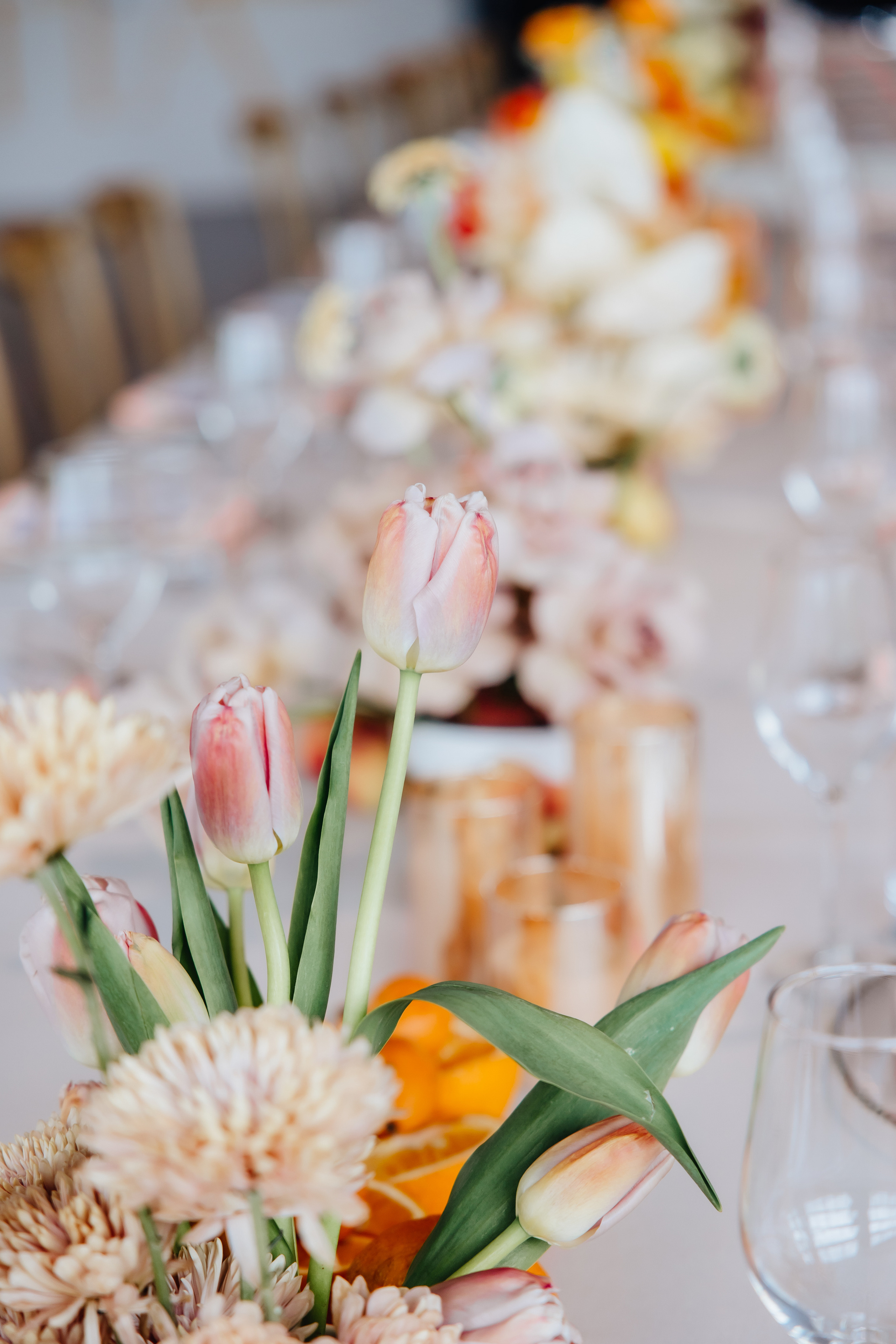 DOLCE VITA. Андрею 50. Ивановы The BEST. Alya Leto Photographer