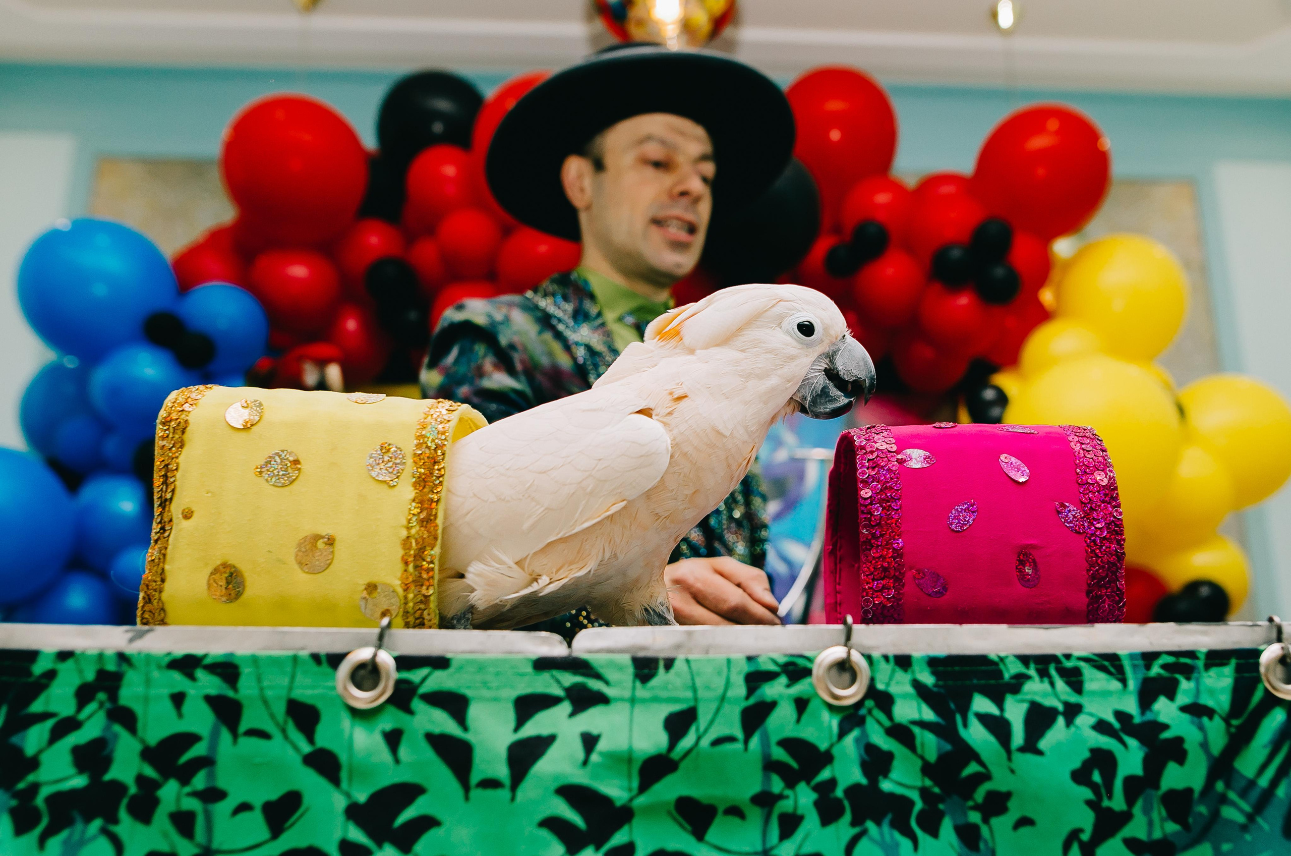 Kids Party. Alya Leto Photographer