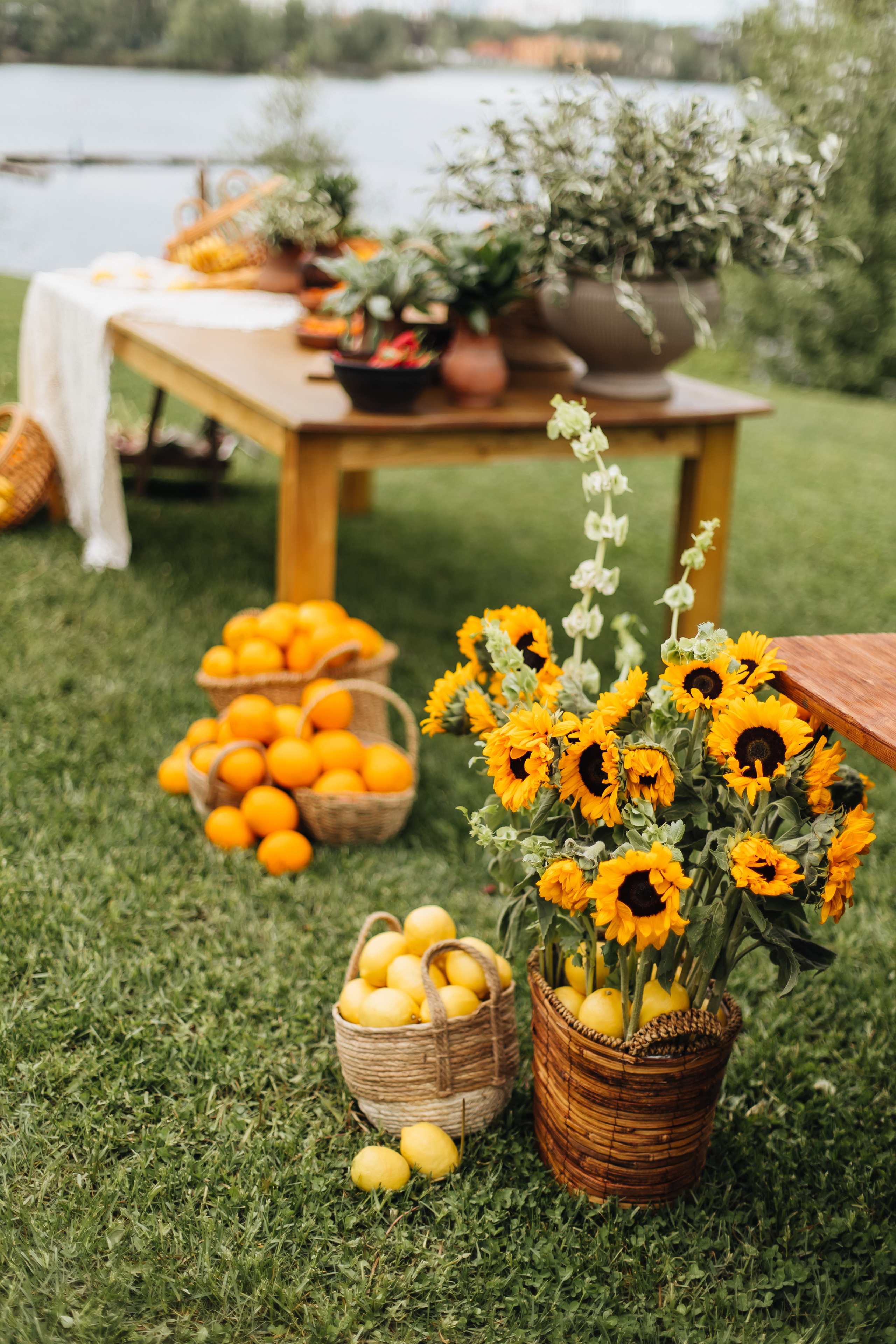 DOLCE VITA. Андрею 50. Ивановы The BEST. Alya Leto Photographer