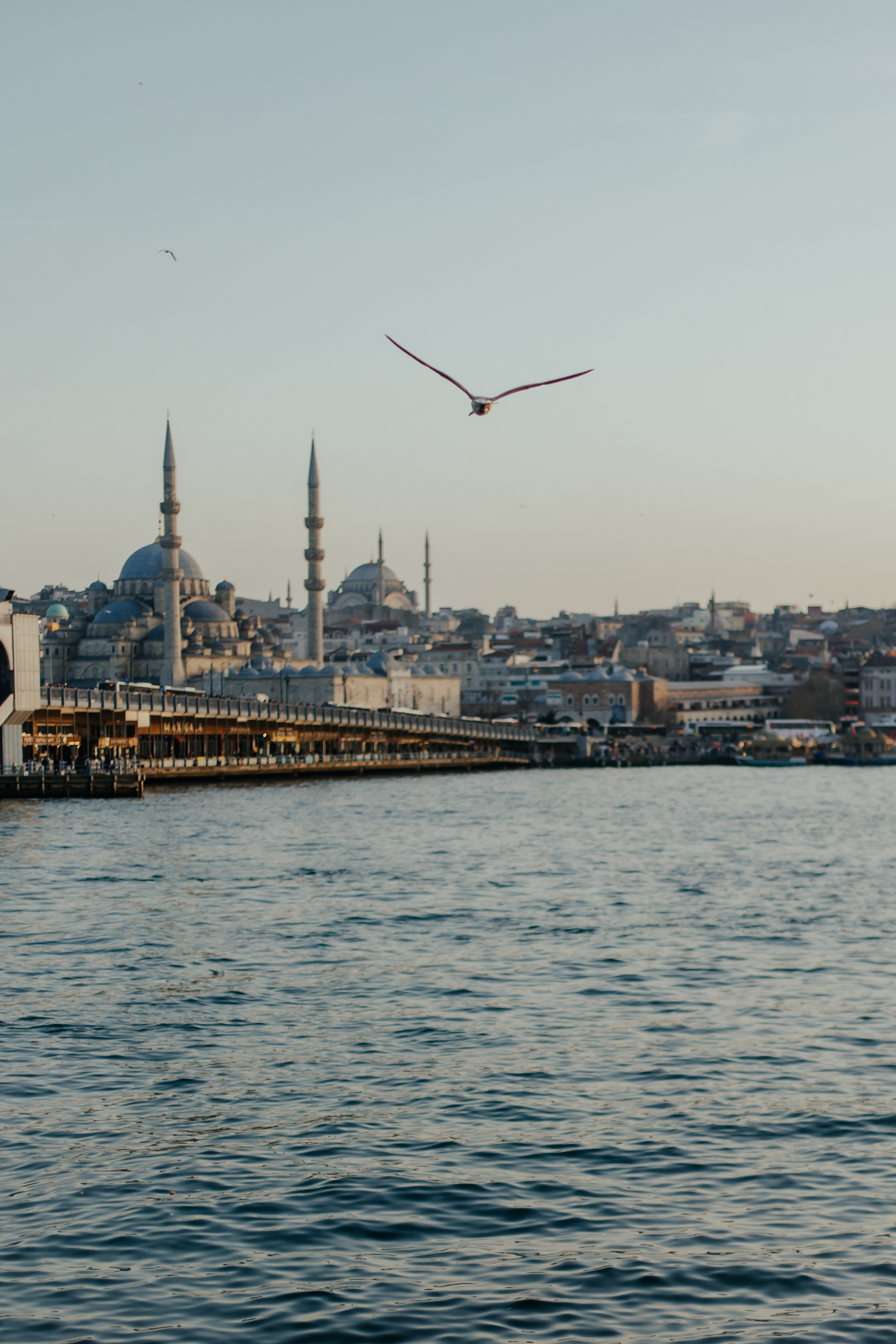 Love in Istanbul. Alya Leto Photographer
