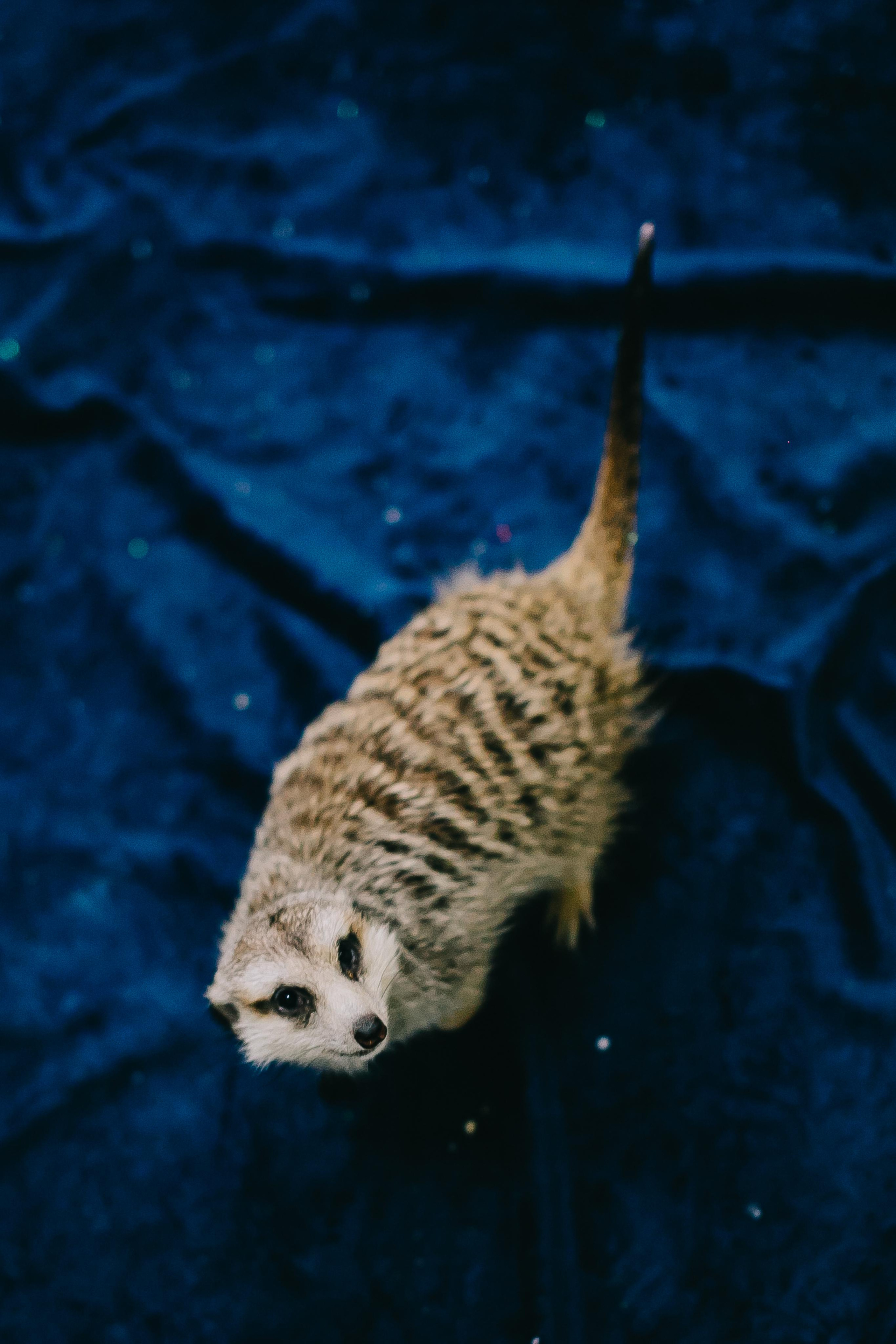 Kids Party. Alya Leto Photographer