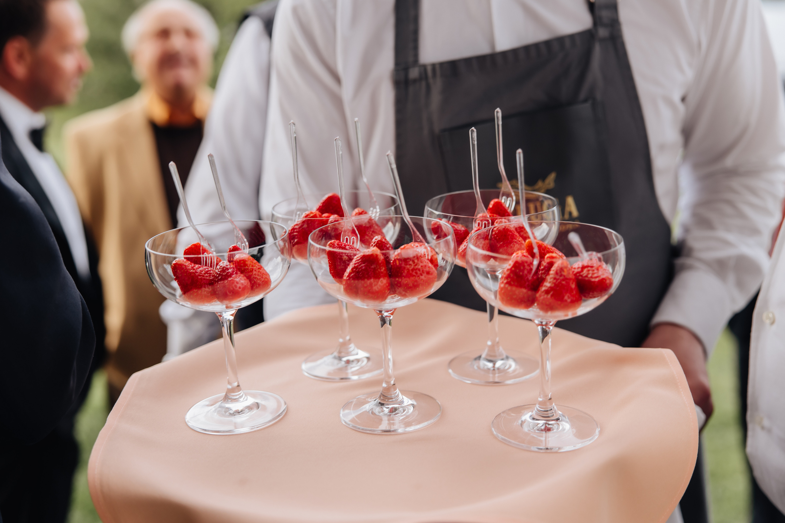 DOLCE VITA. Андрею 50. Ивановы The BEST. Alya Leto Photographer