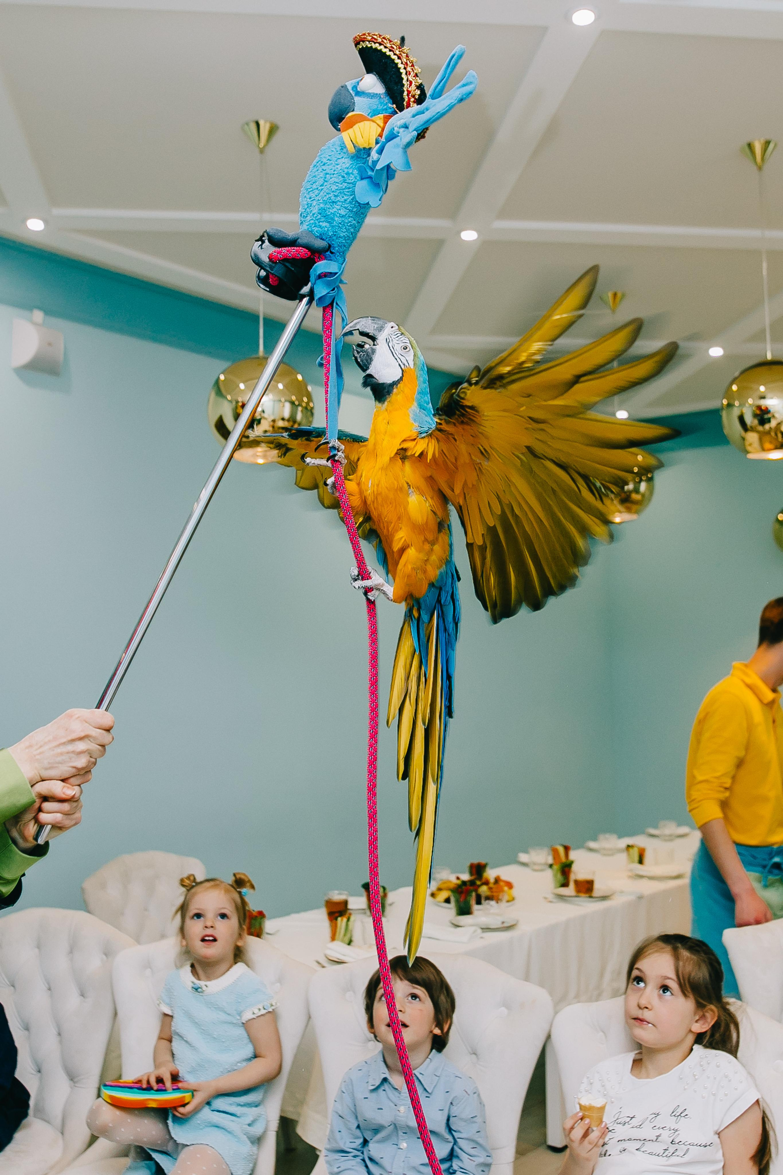 Kids Party. Alya Leto Photographer