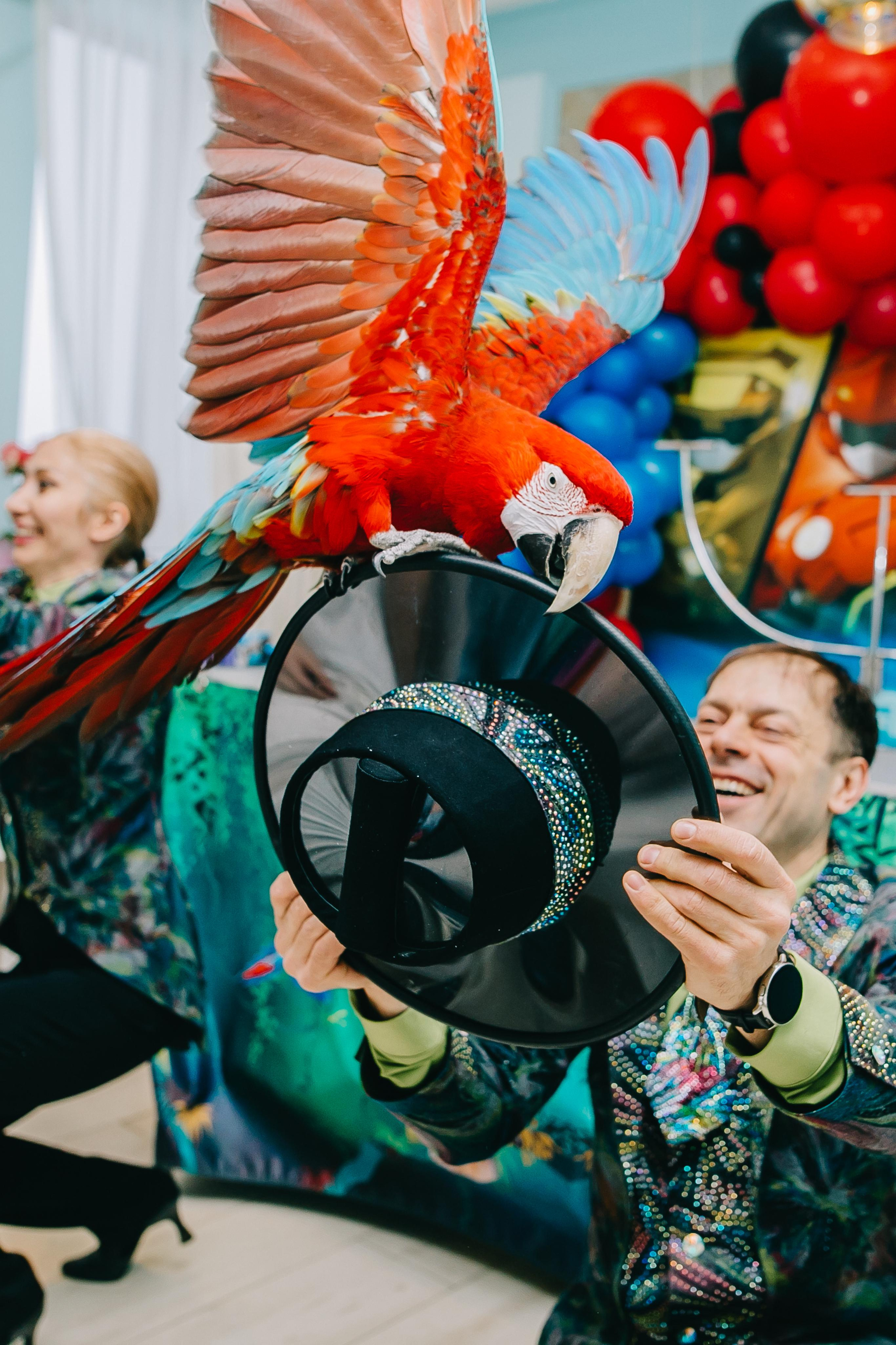 Kids Party. Alya Leto Photographer