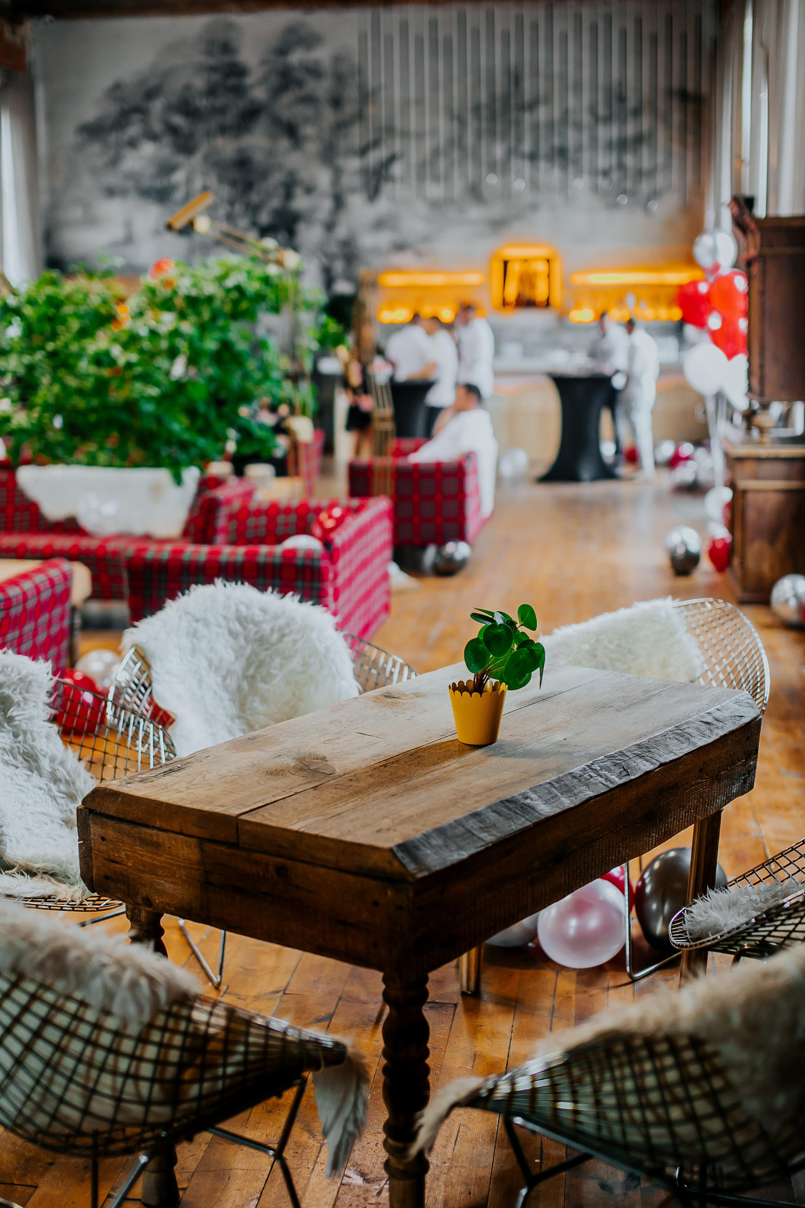 Event. Alya Leto Photographer