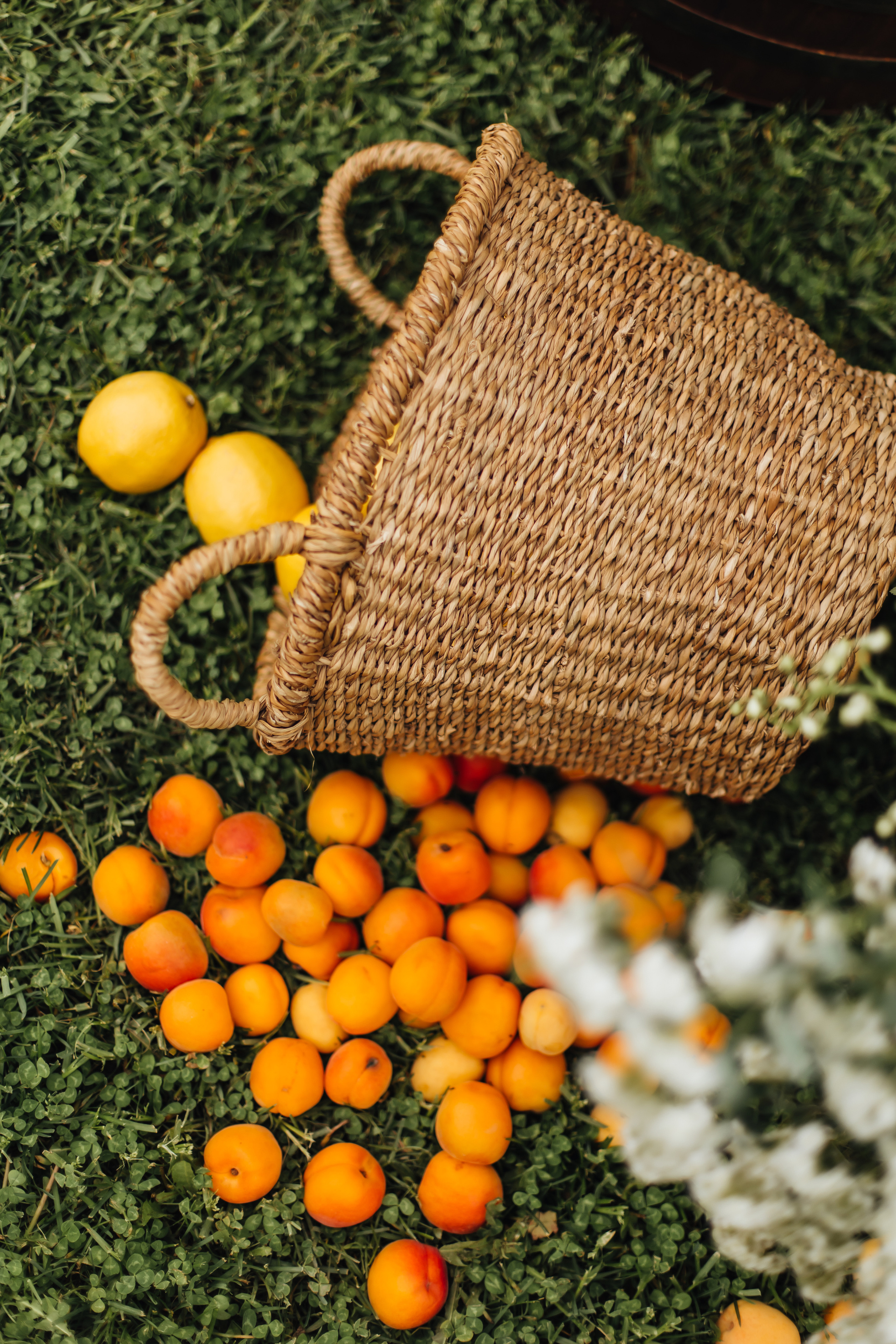 DOLCE VITA. Андрею 50. Ивановы The BEST. Alya Leto Photographer