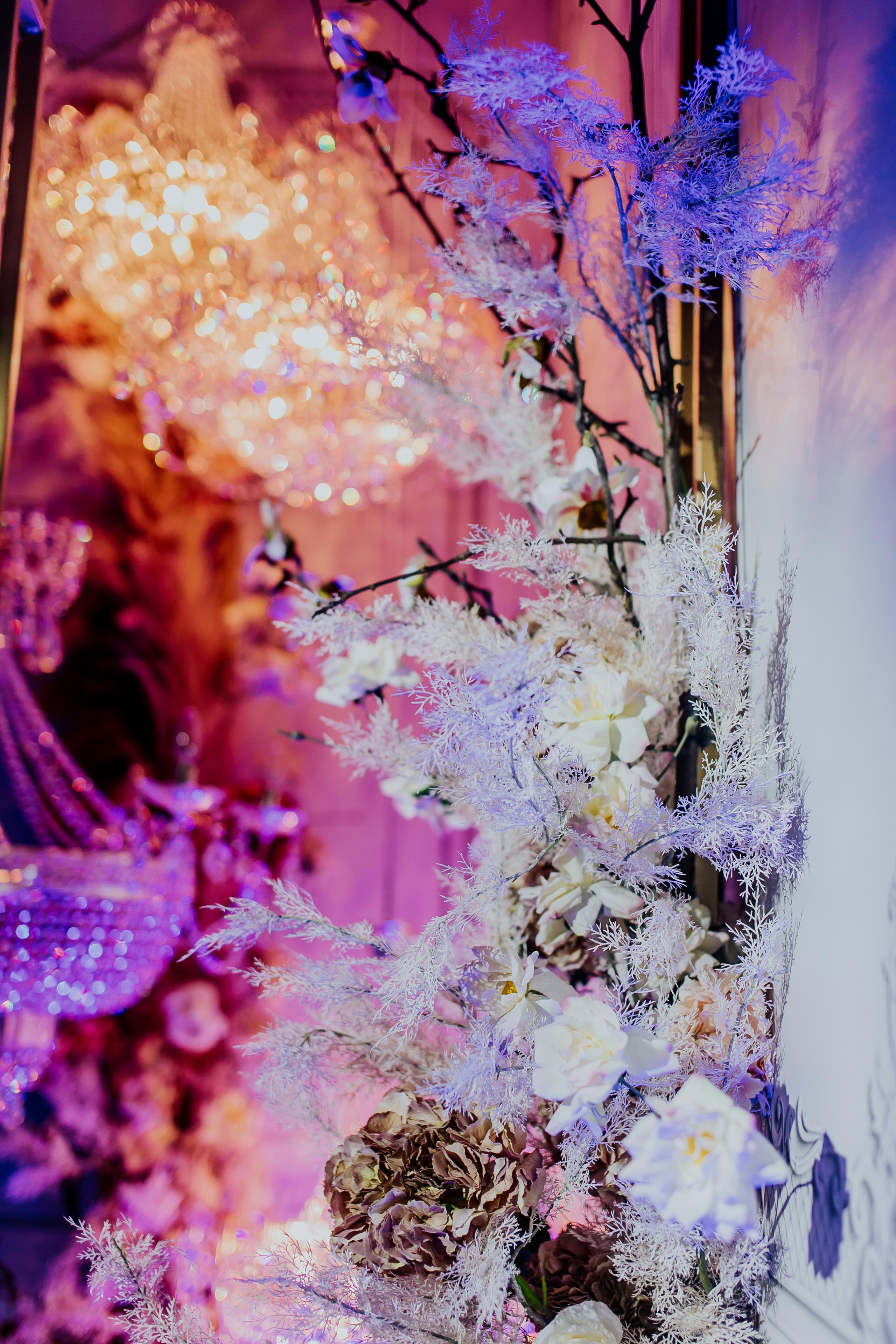 Event. Alya Leto Photographer