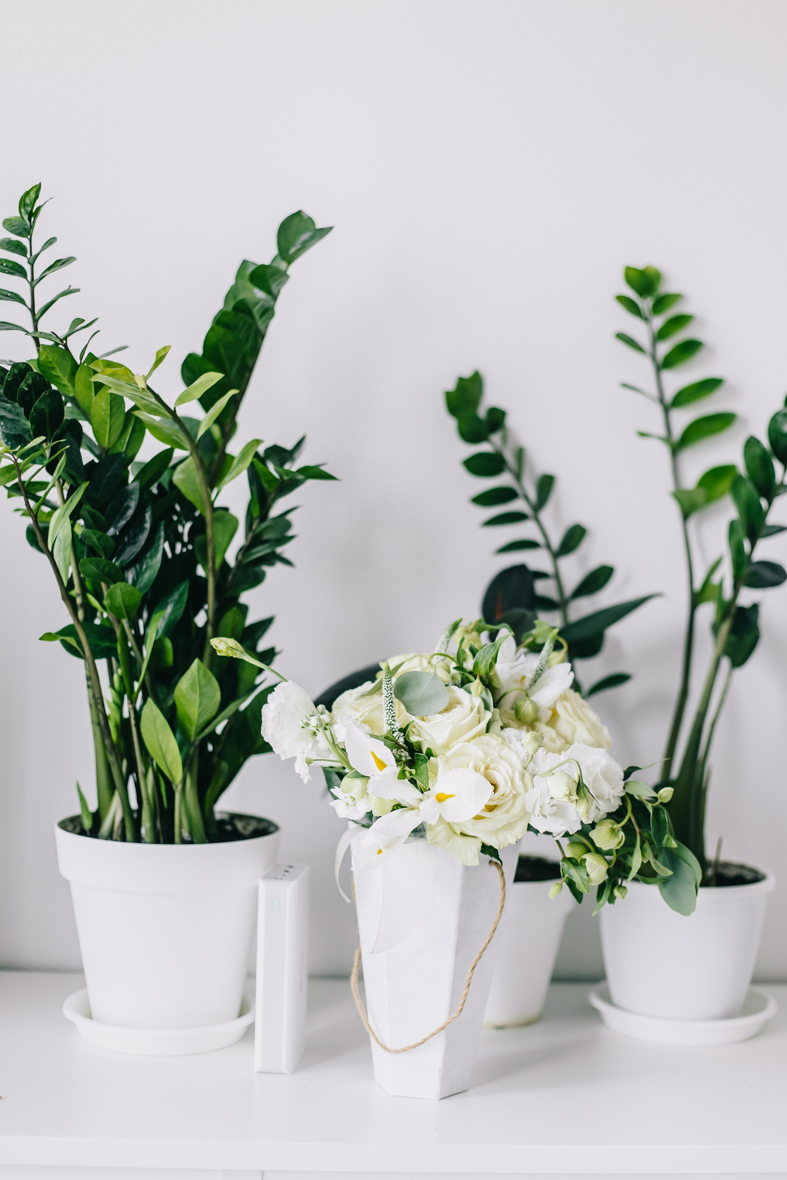 Wedding. Alya Leto Photographer