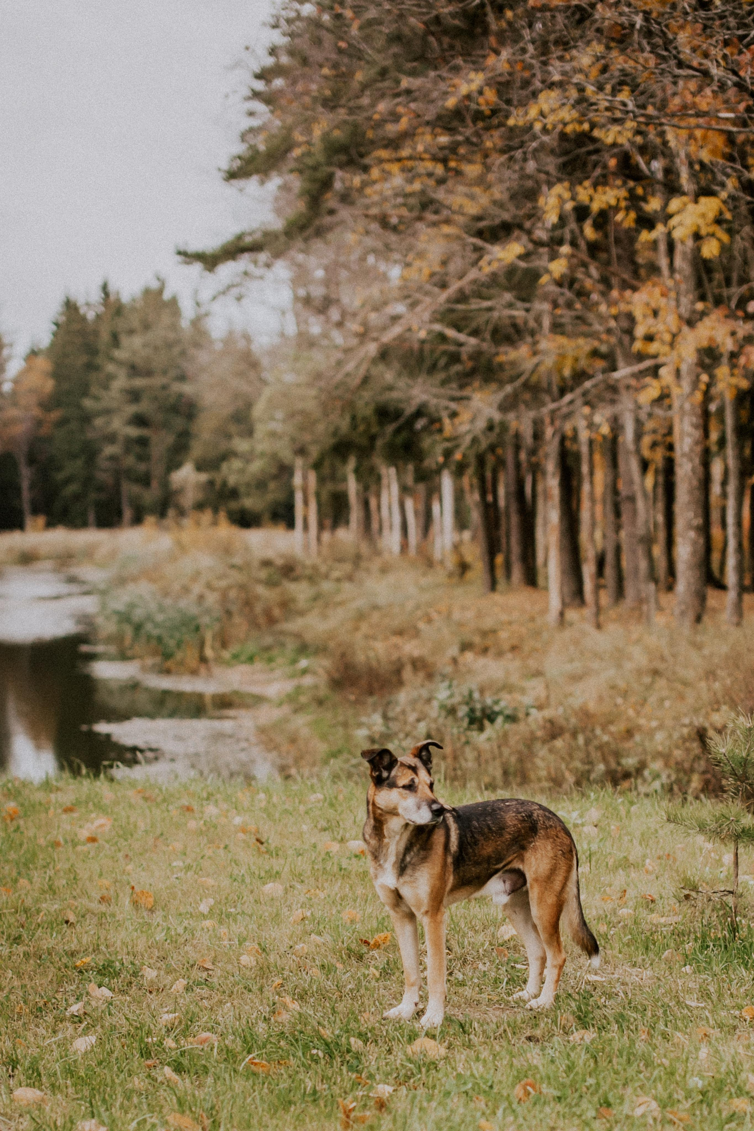 Love. Alya Leto Photographer