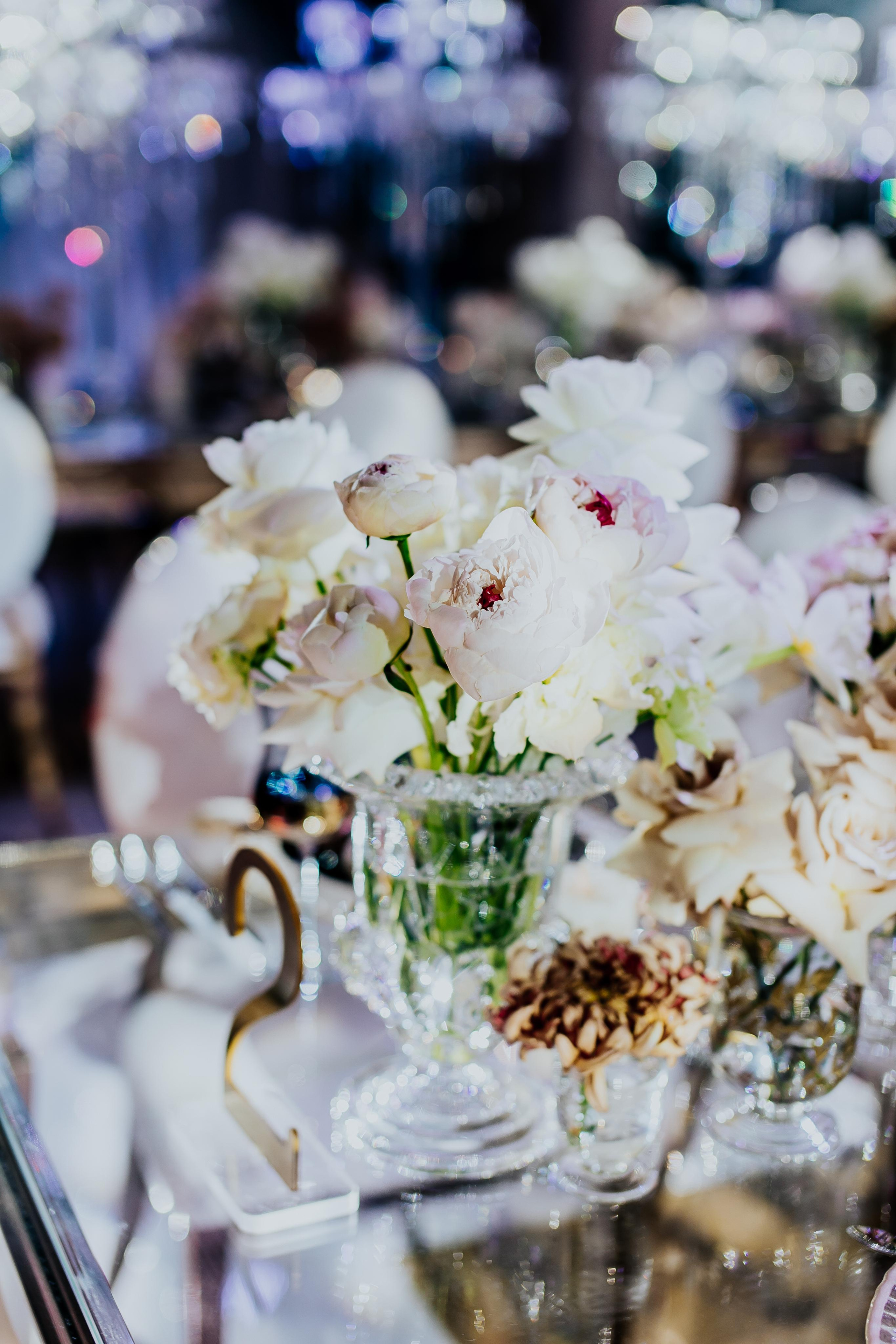 Event. Alya Leto Photographer