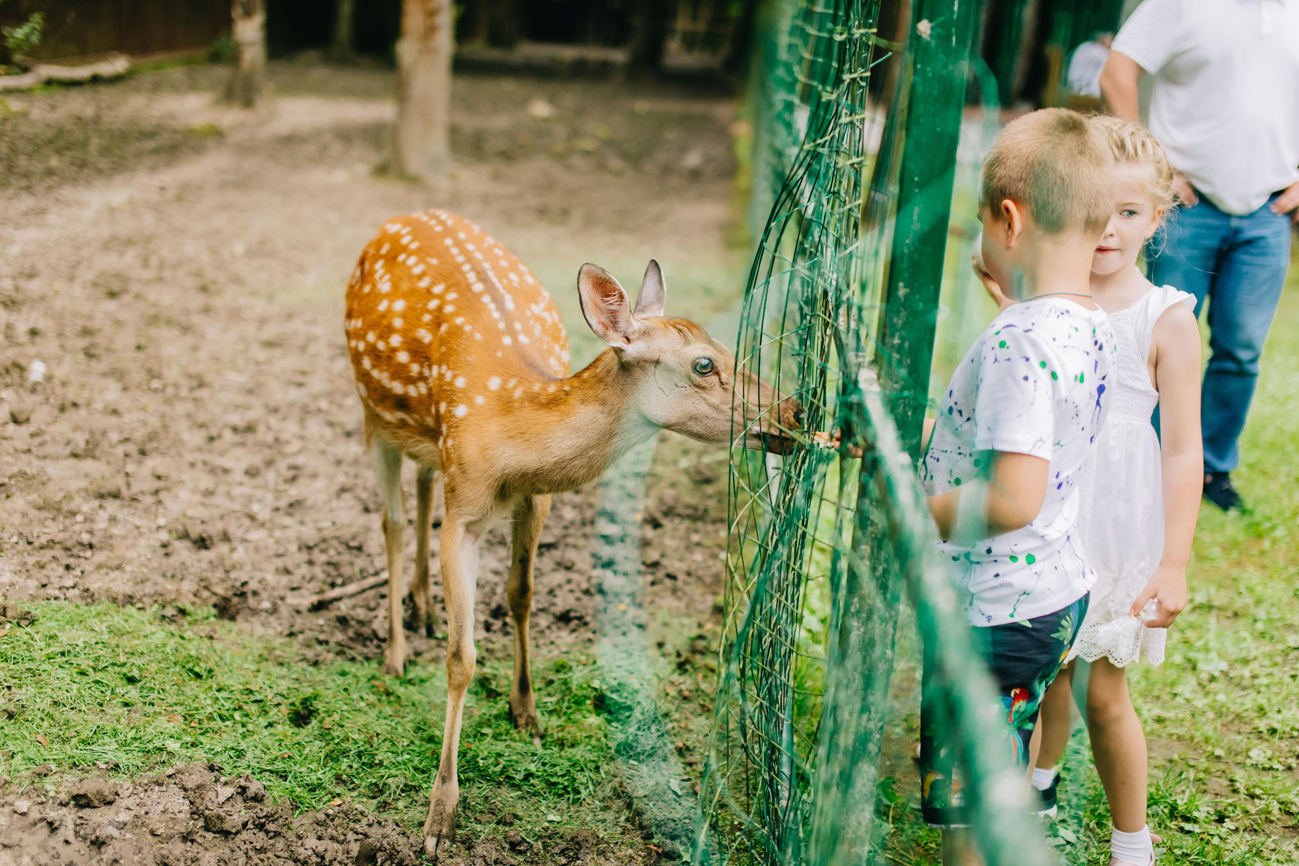 Family. Alya Leto Photographer