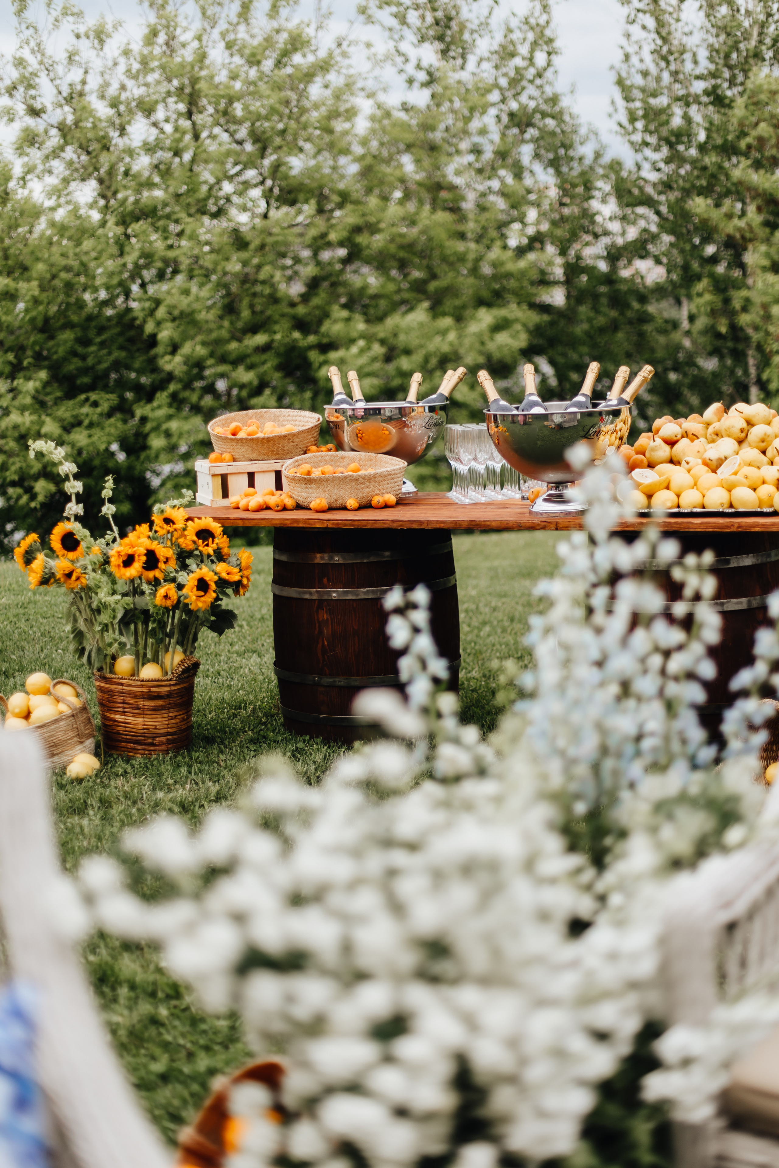 DOLCE VITA. Андрею 50. Ивановы The BEST. Alya Leto Photographer