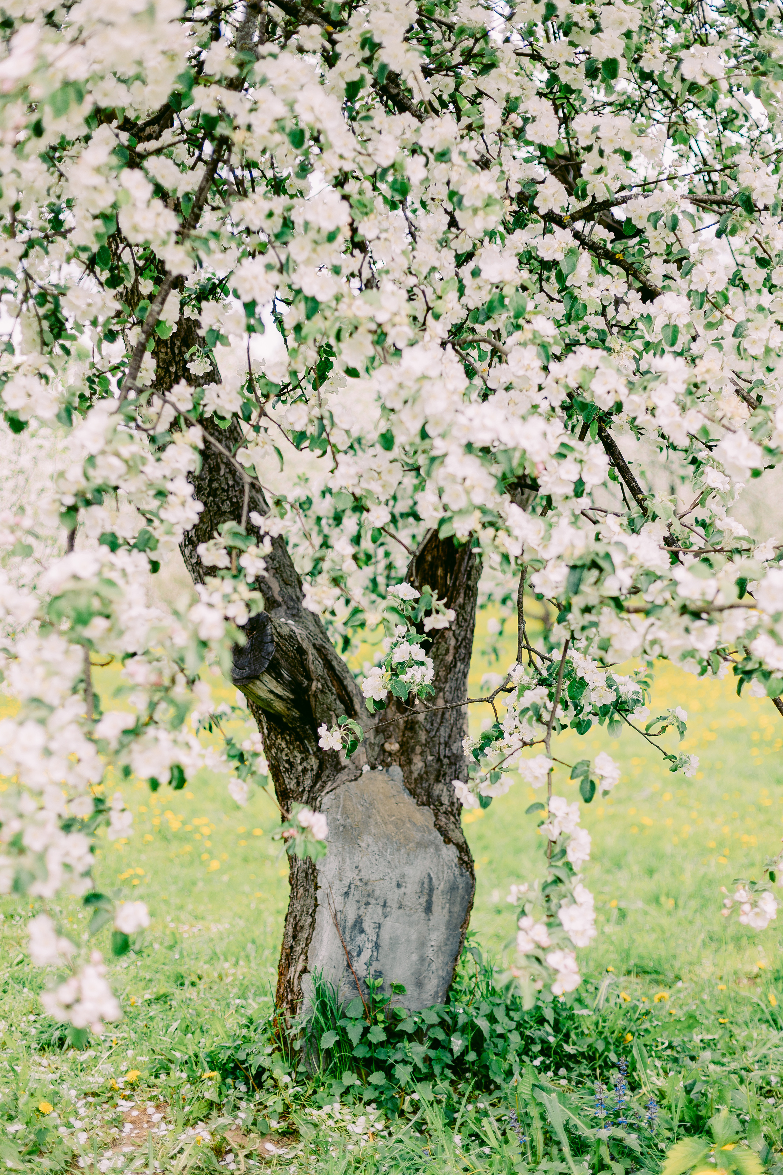 Ксюша и Мар. Alya Leto Photographer