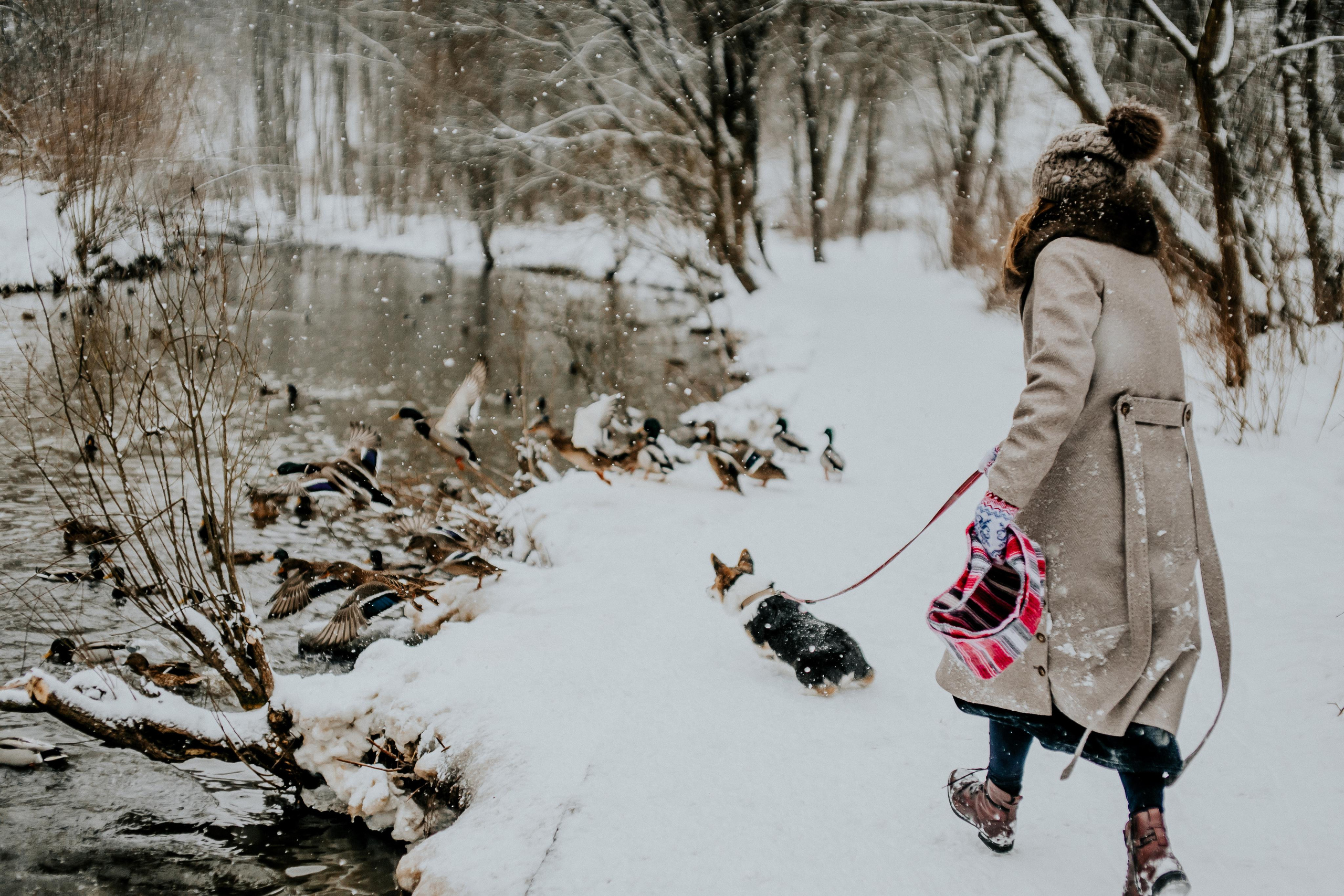 Love. Alya Leto Photographer