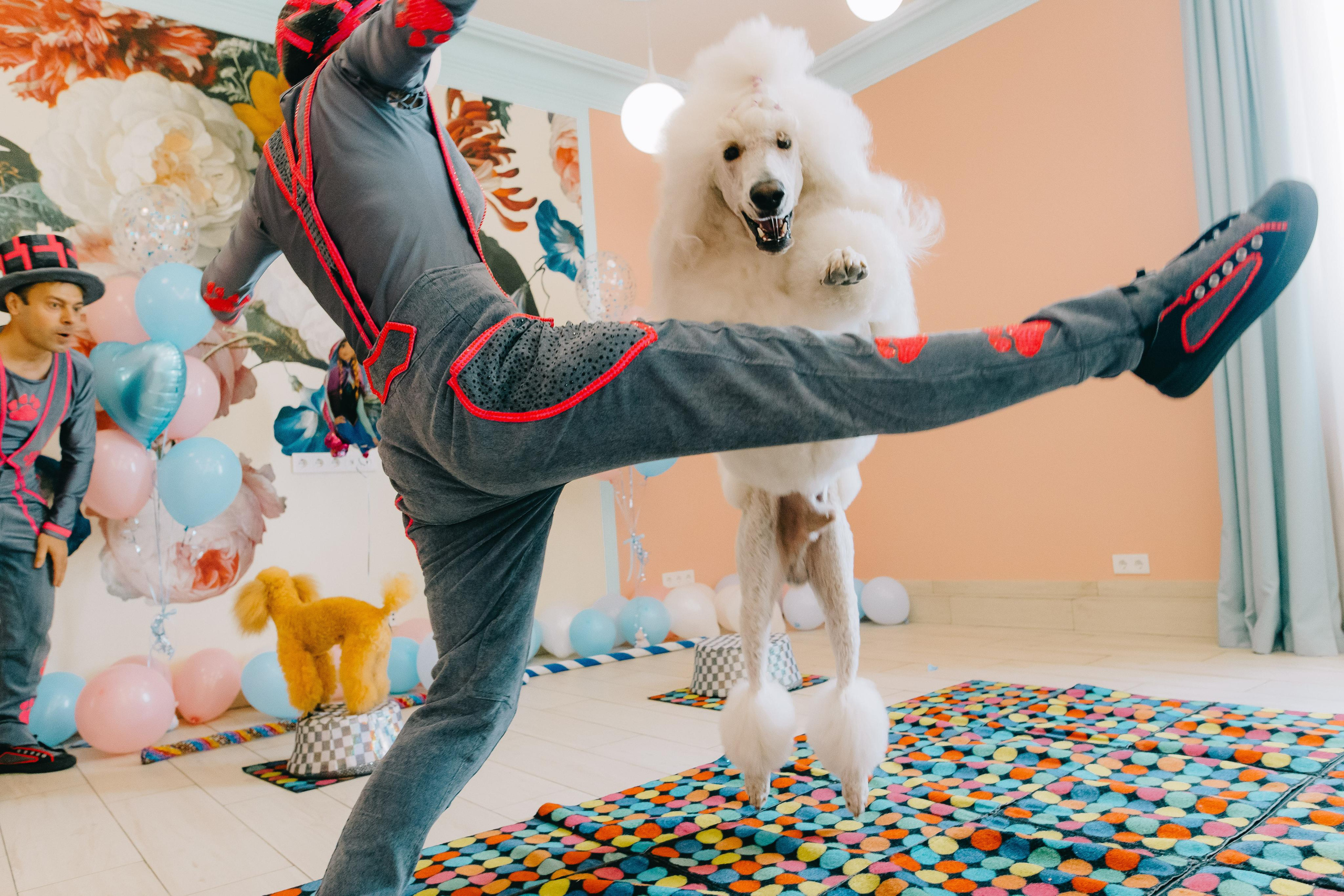 Kids Party. Alya Leto Photographer