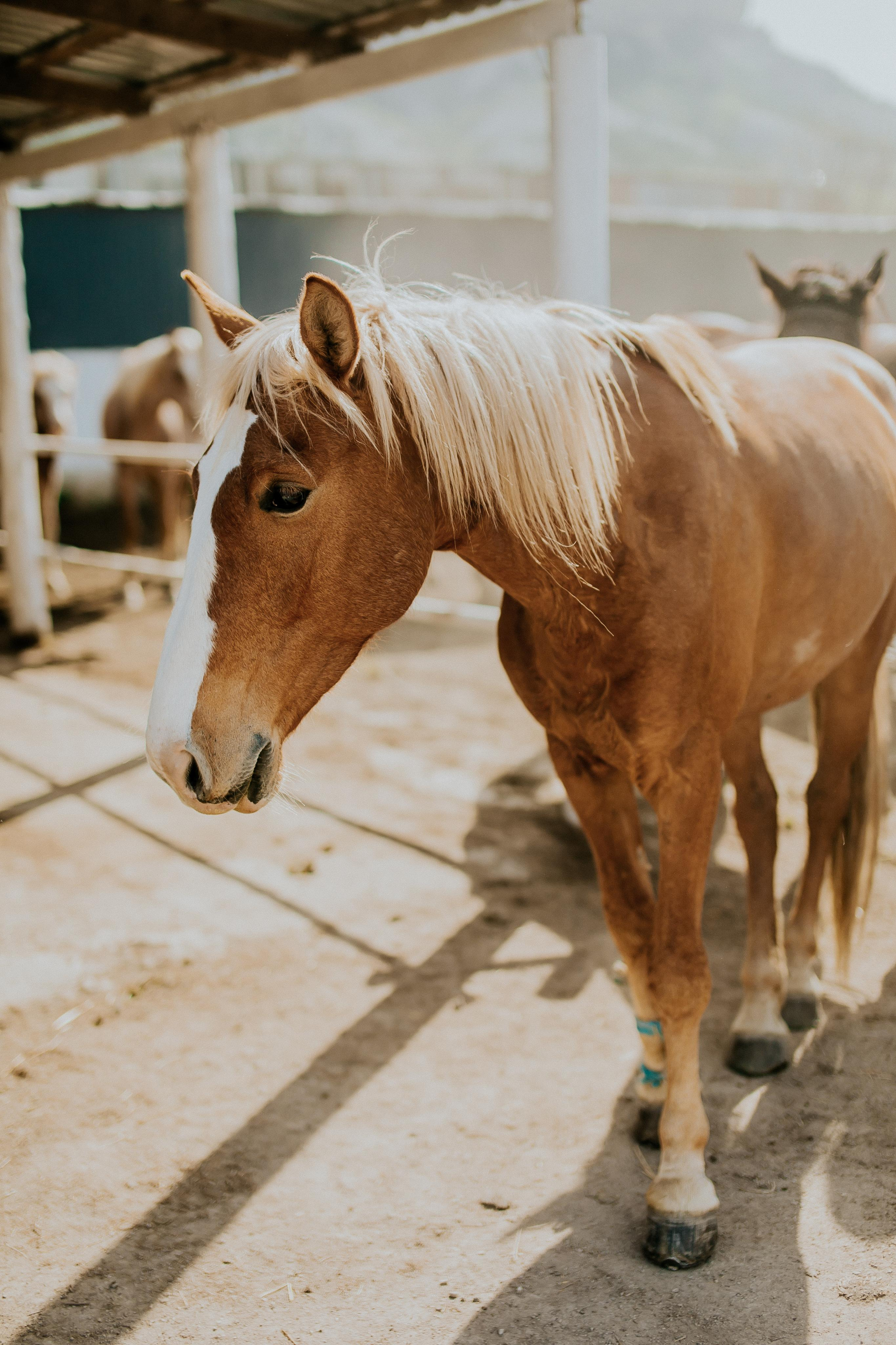 Love. Alya Leto Photographer