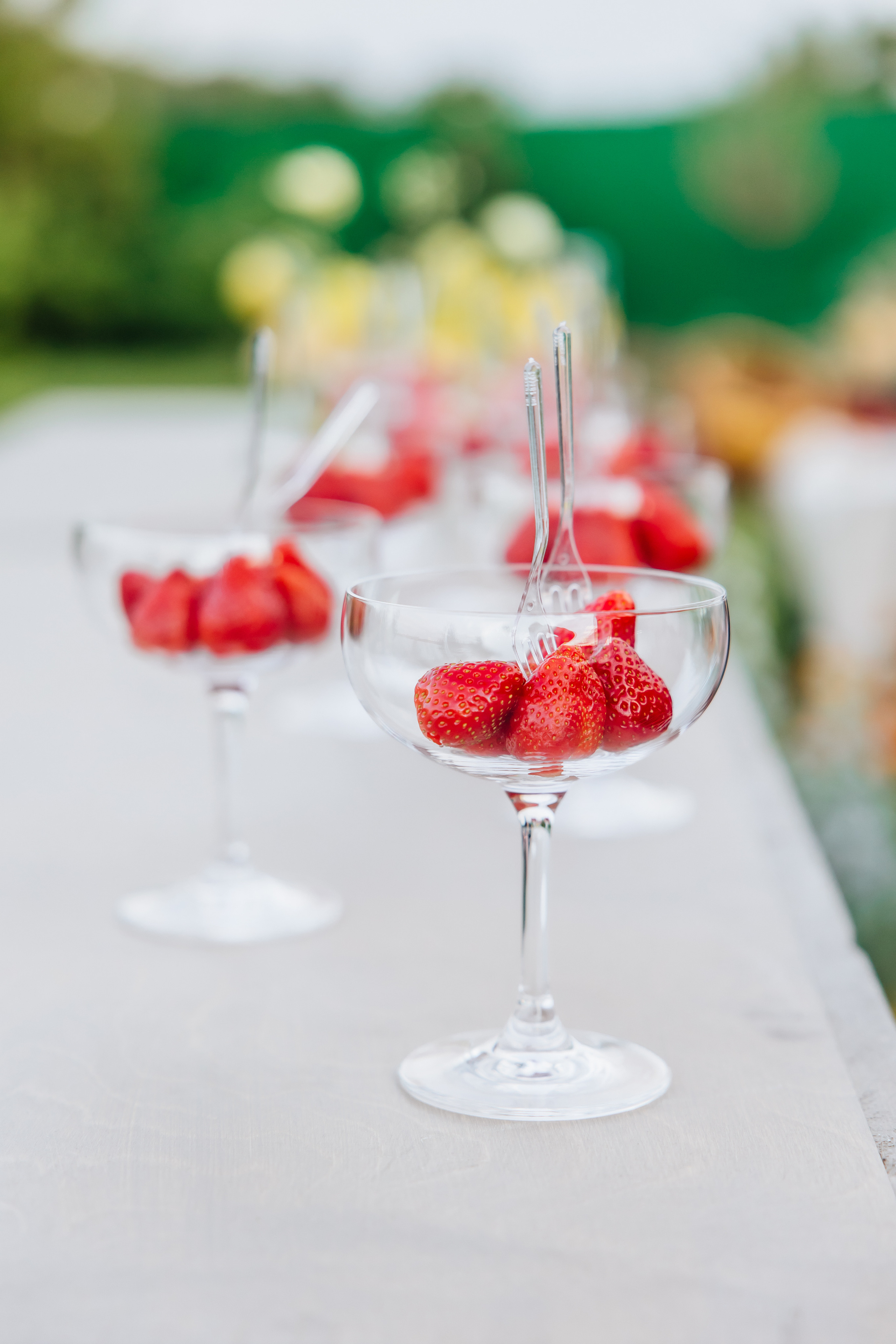 DOLCE VITA. Андрею 50. Ивановы The BEST. Alya Leto Photographer