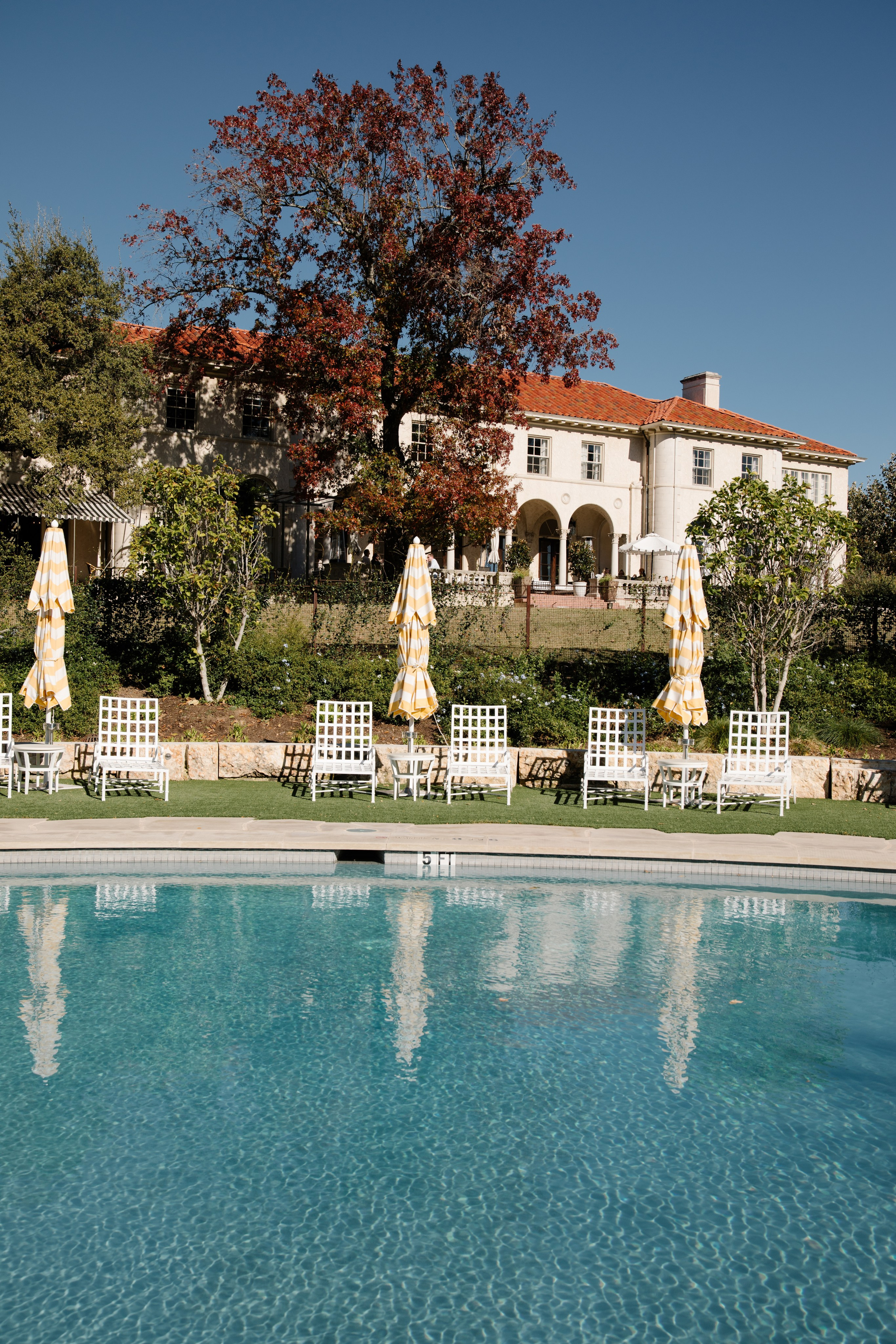 Wedding photogrphy austin. Wedding photo and video Texas