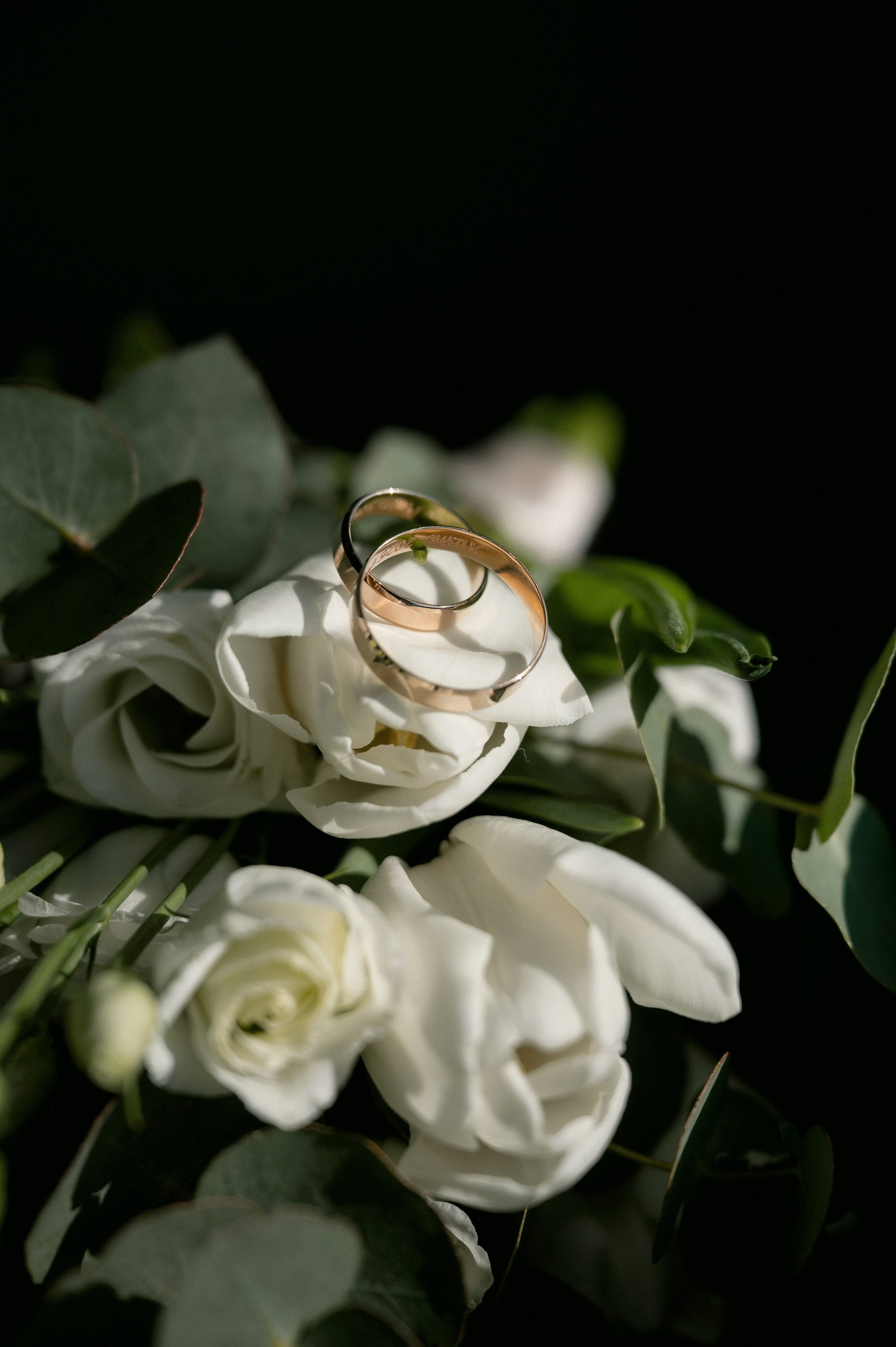 Aušra ir Dainius. Anonsas