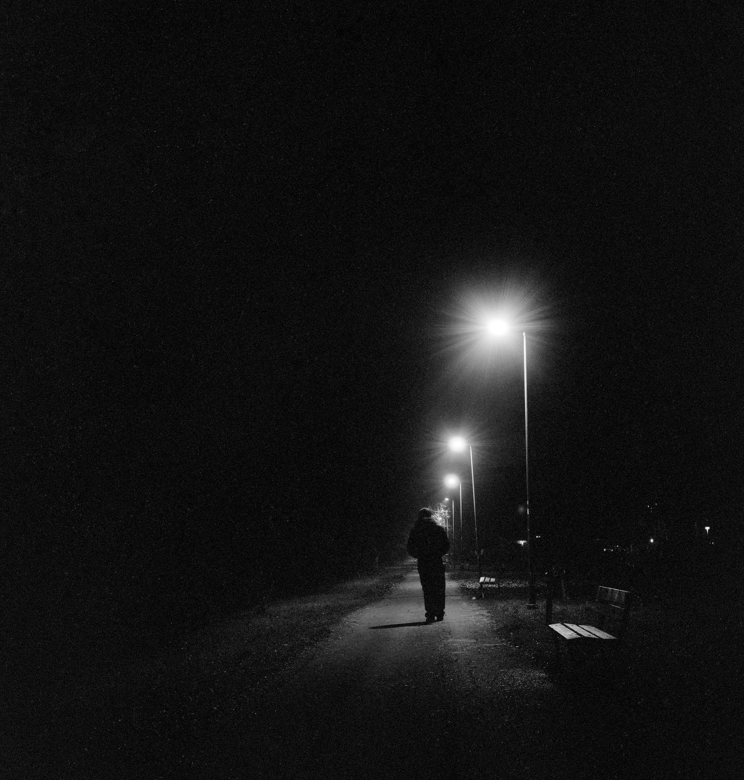 Analogica. Frank Prochilo Photography