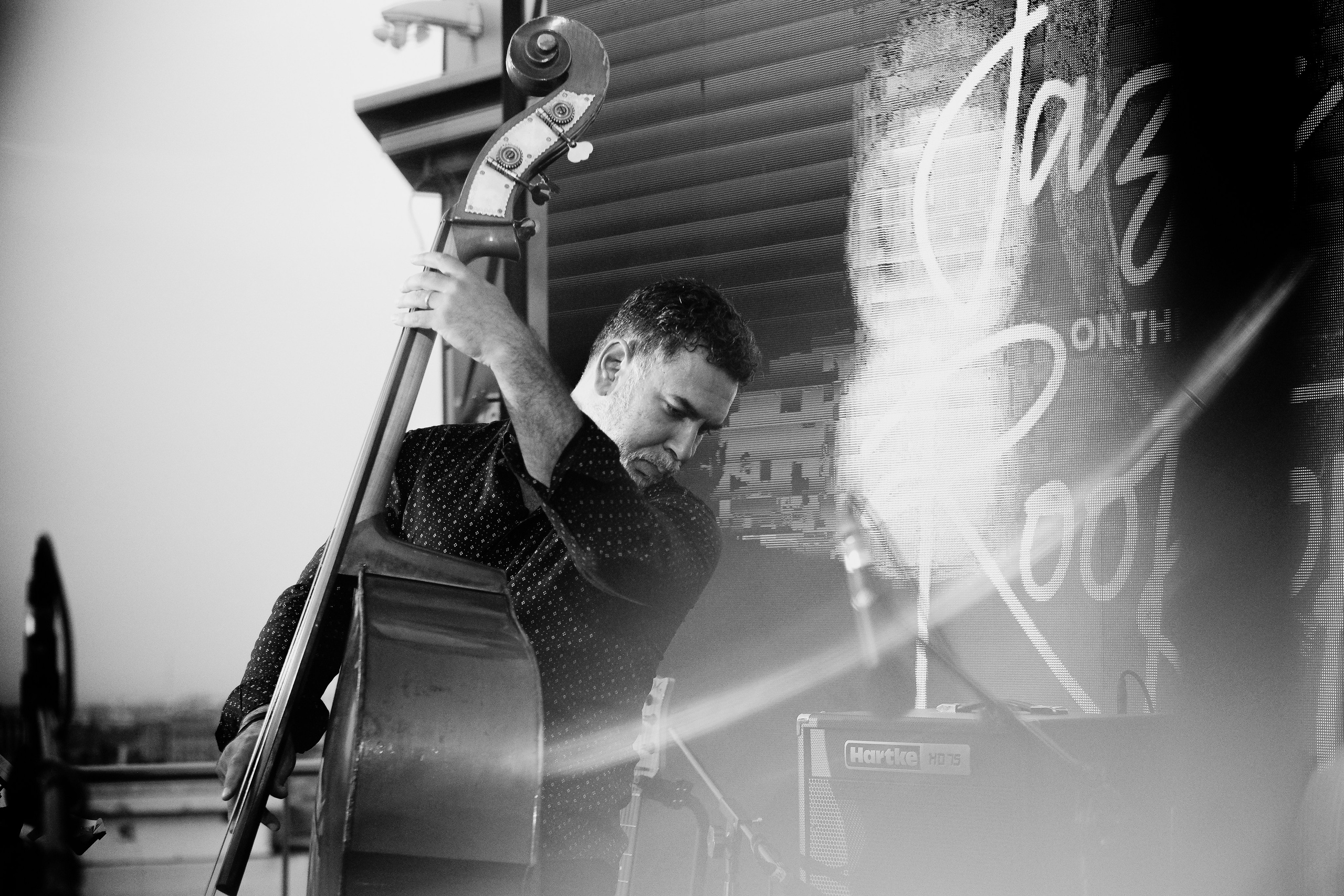 Razvan Cojanu. Hornetart