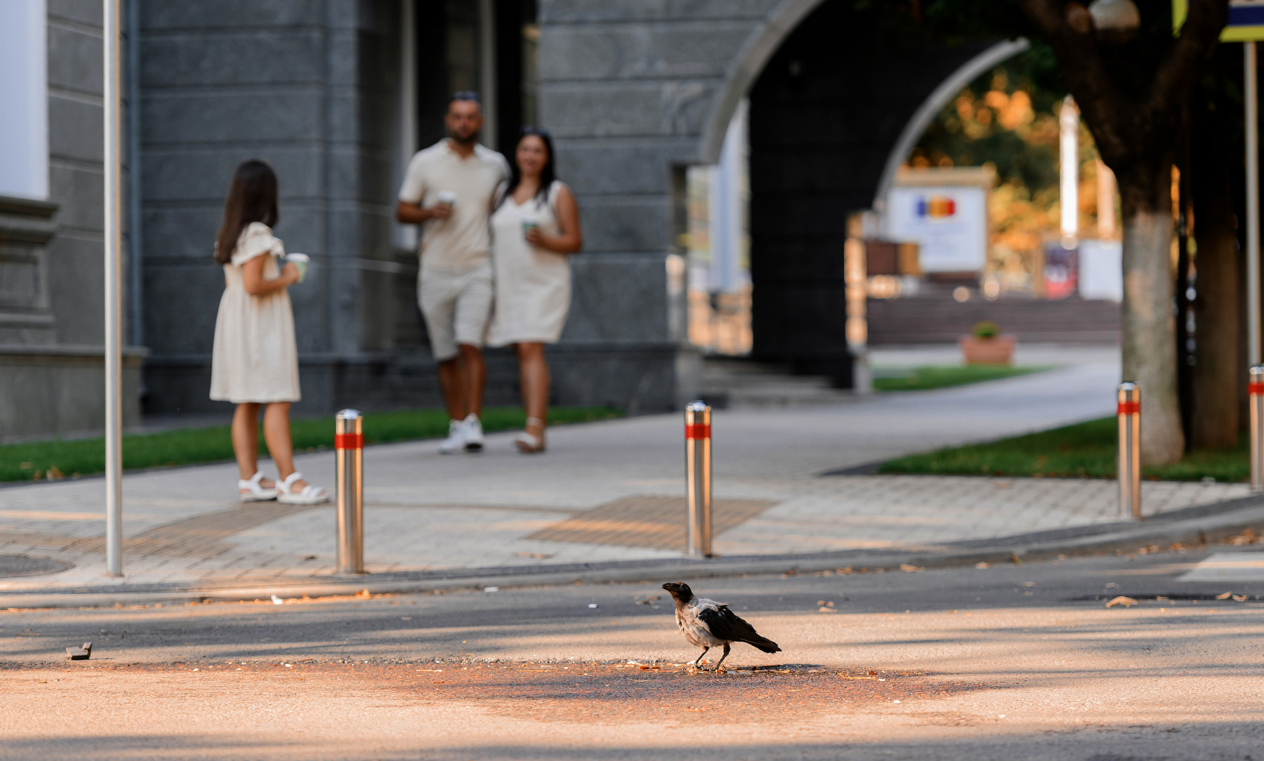 Family Chris & Ivan, Victoria. Wedding photographer from Moldova Alexey Chipchiu