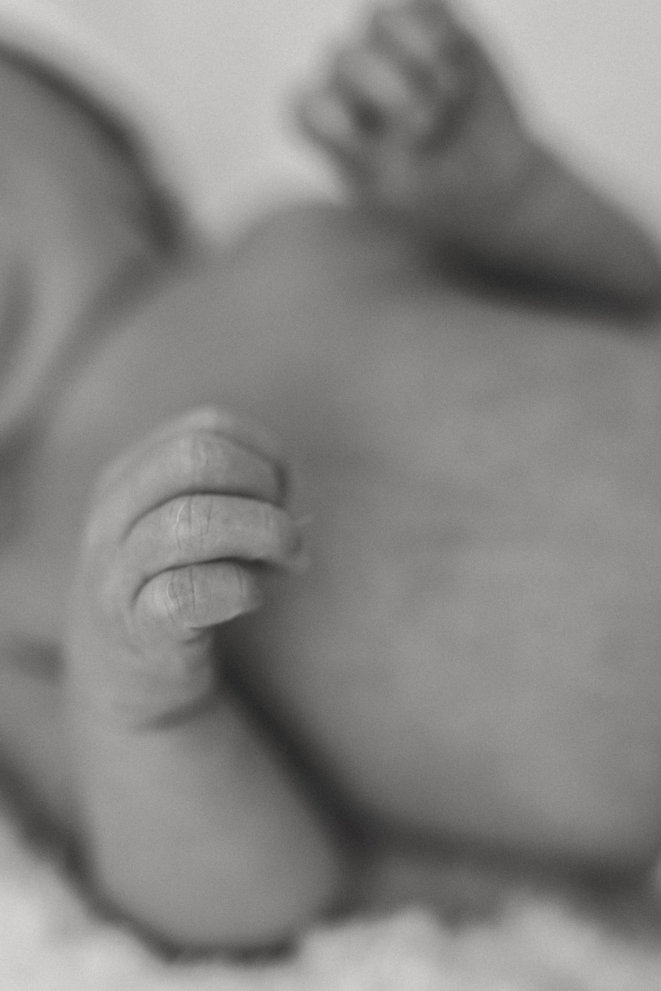 Vaniușa | primele zile de viață. Home